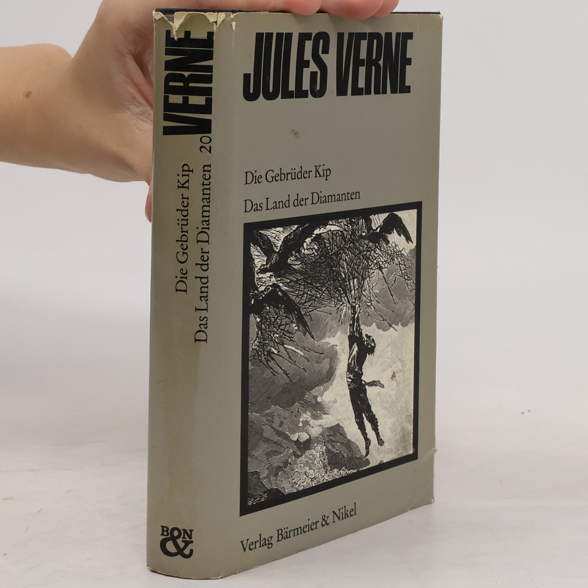 Jules Verne Die Gebrüder Kip. Das Land der Diamanten