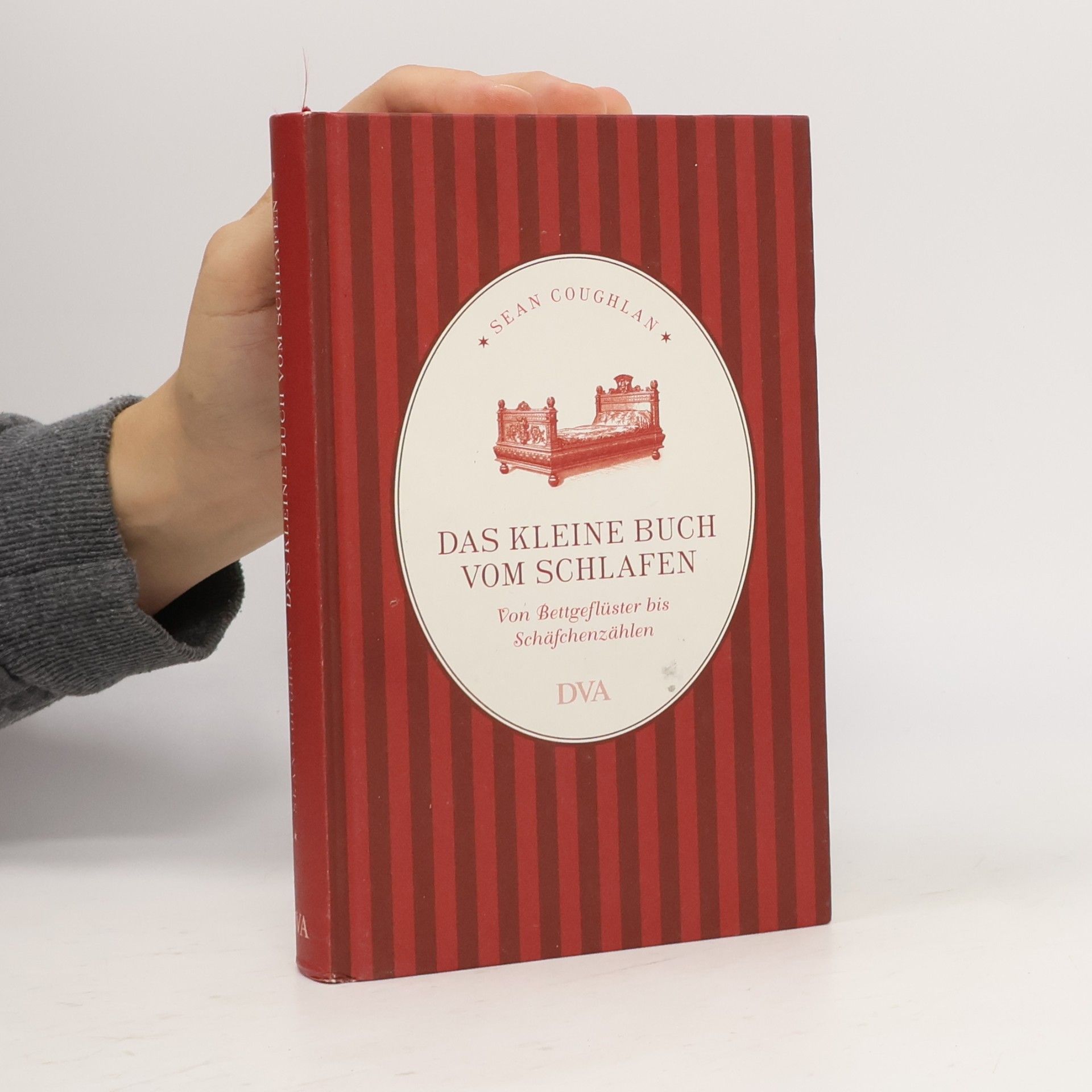 Sean Coughlan Das kleine Buch vom Schlafen