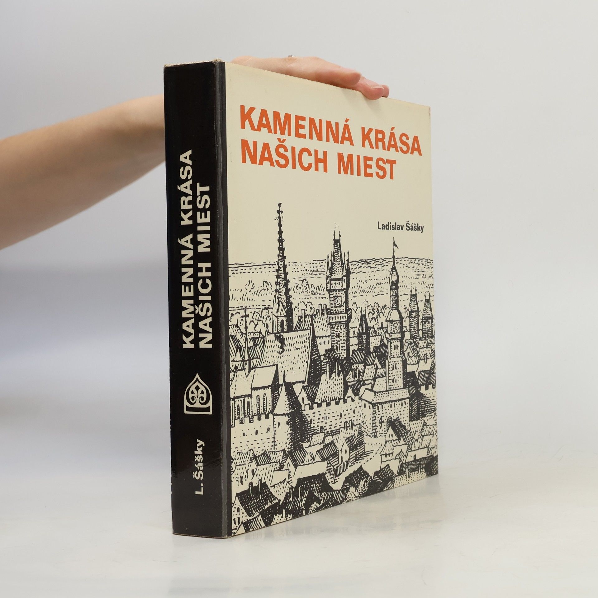 Ladislav Šášky Kamenná krása našich miest