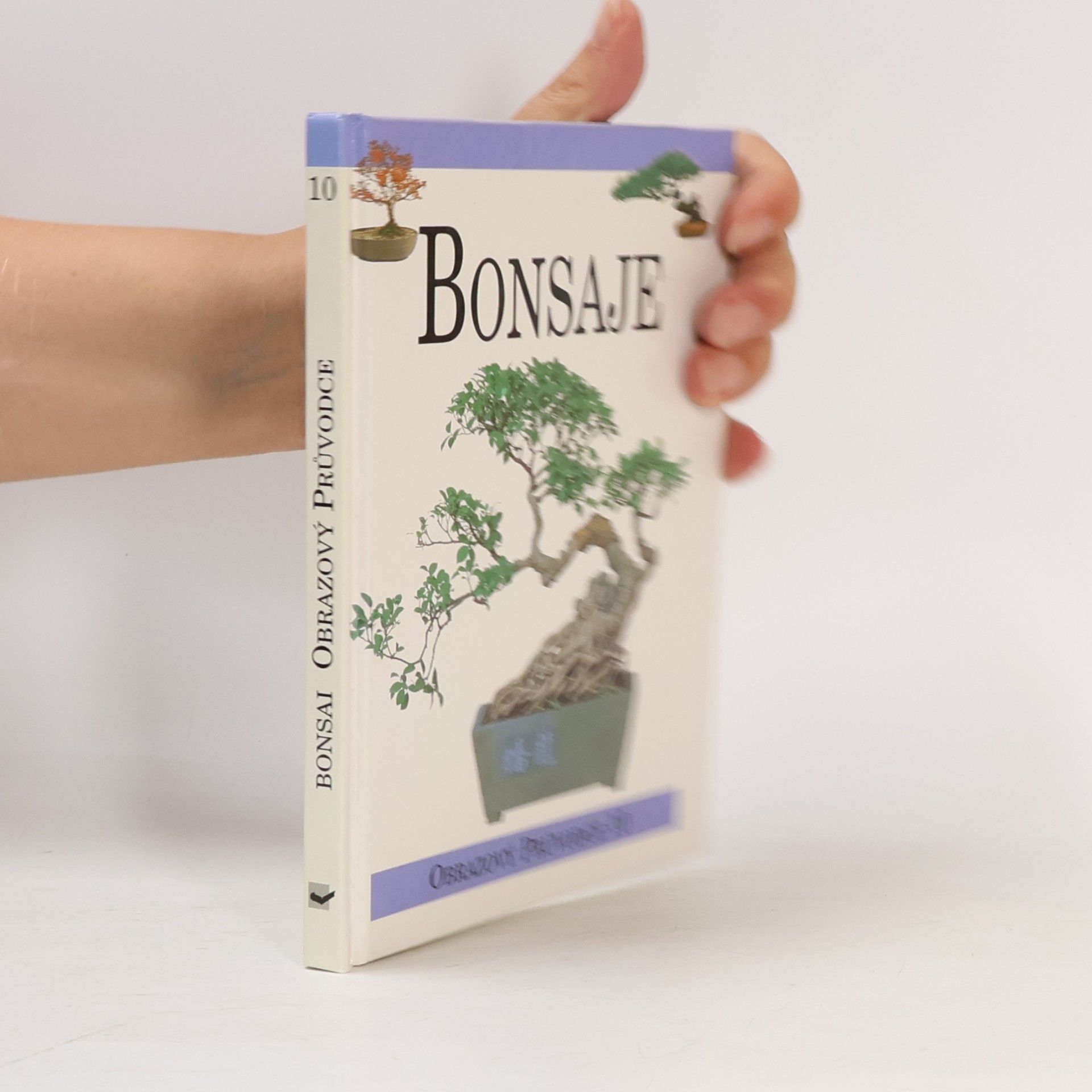 AA.VV. Bonsaje