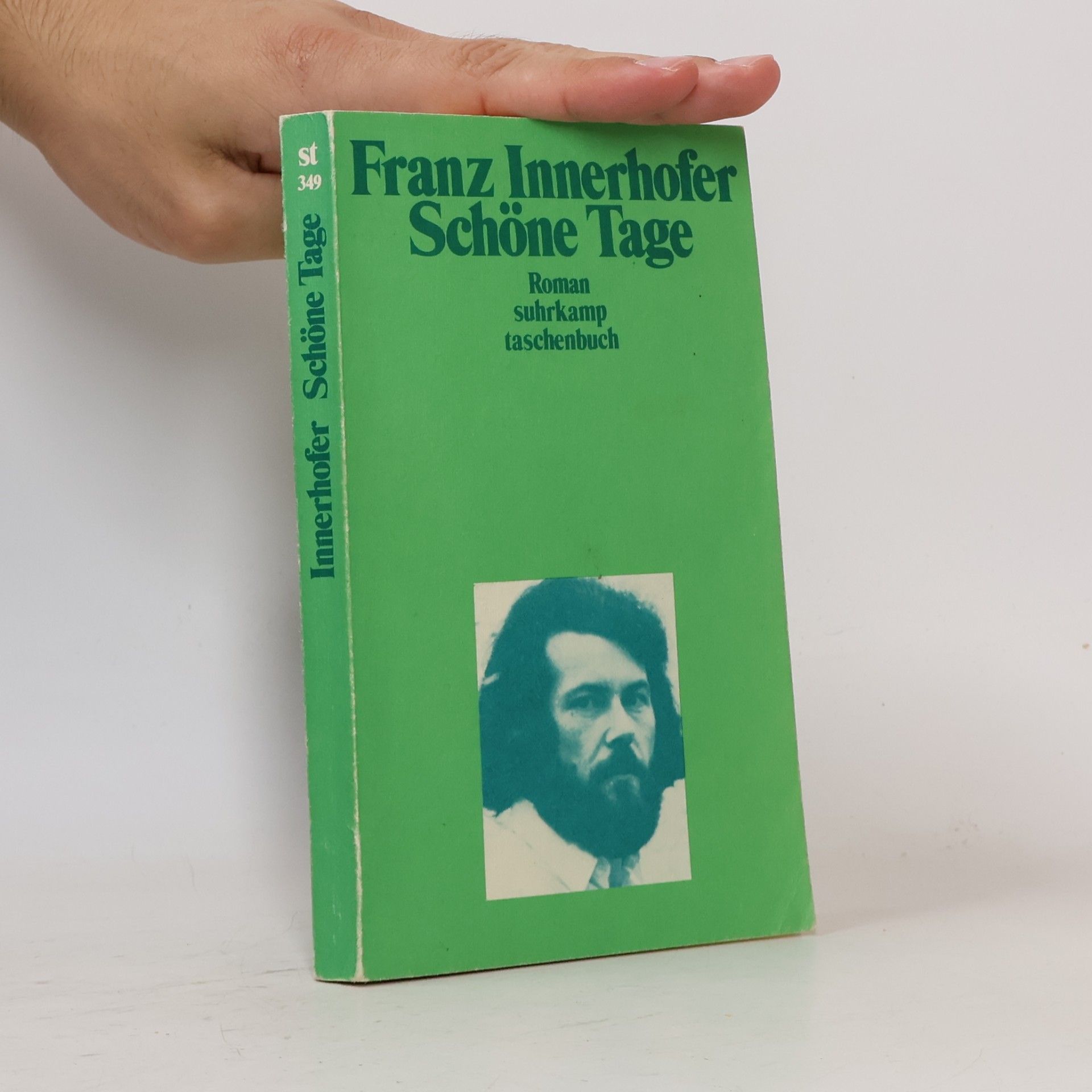 Franz Innerhofer Schöne Tage