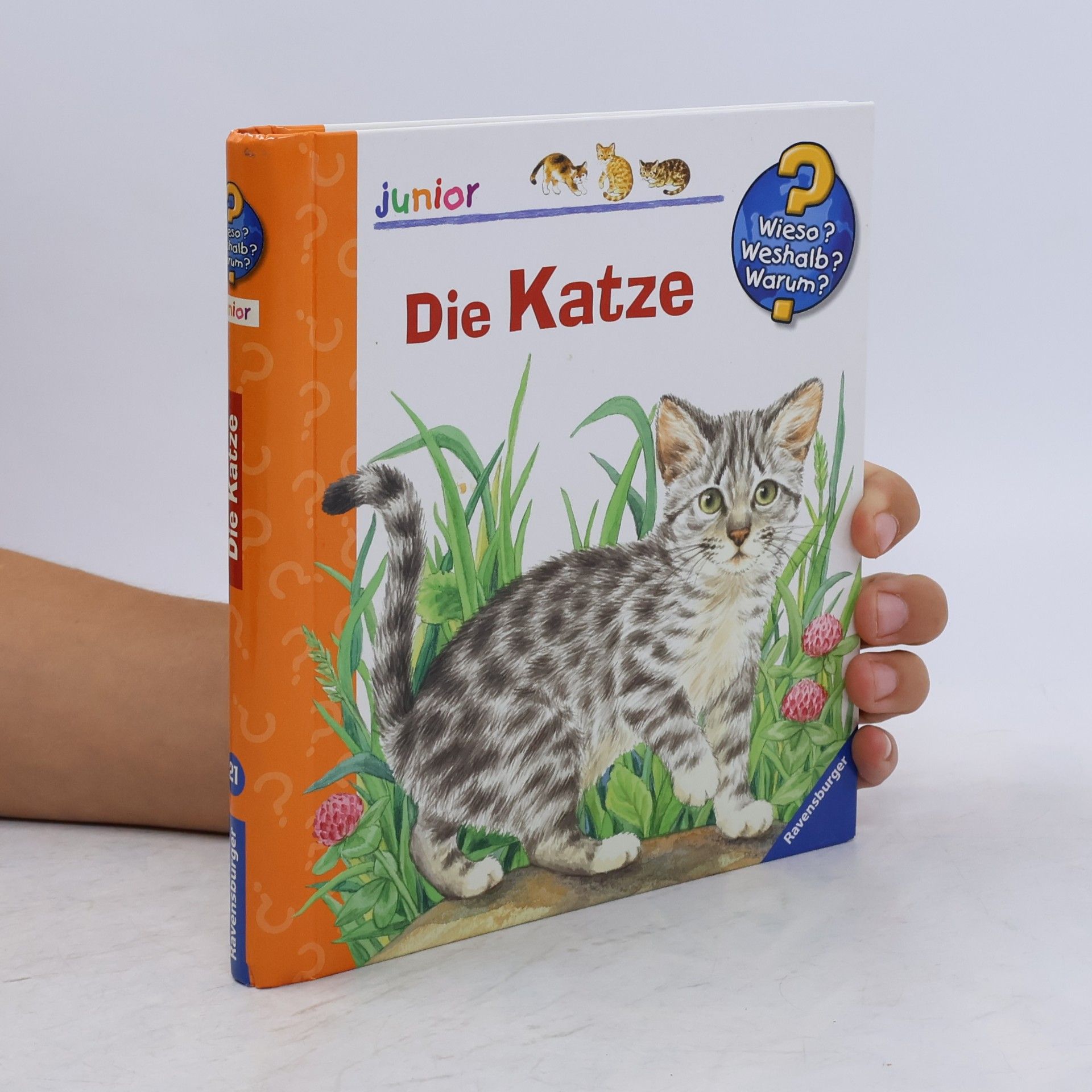 Ursula Weller Die Katze