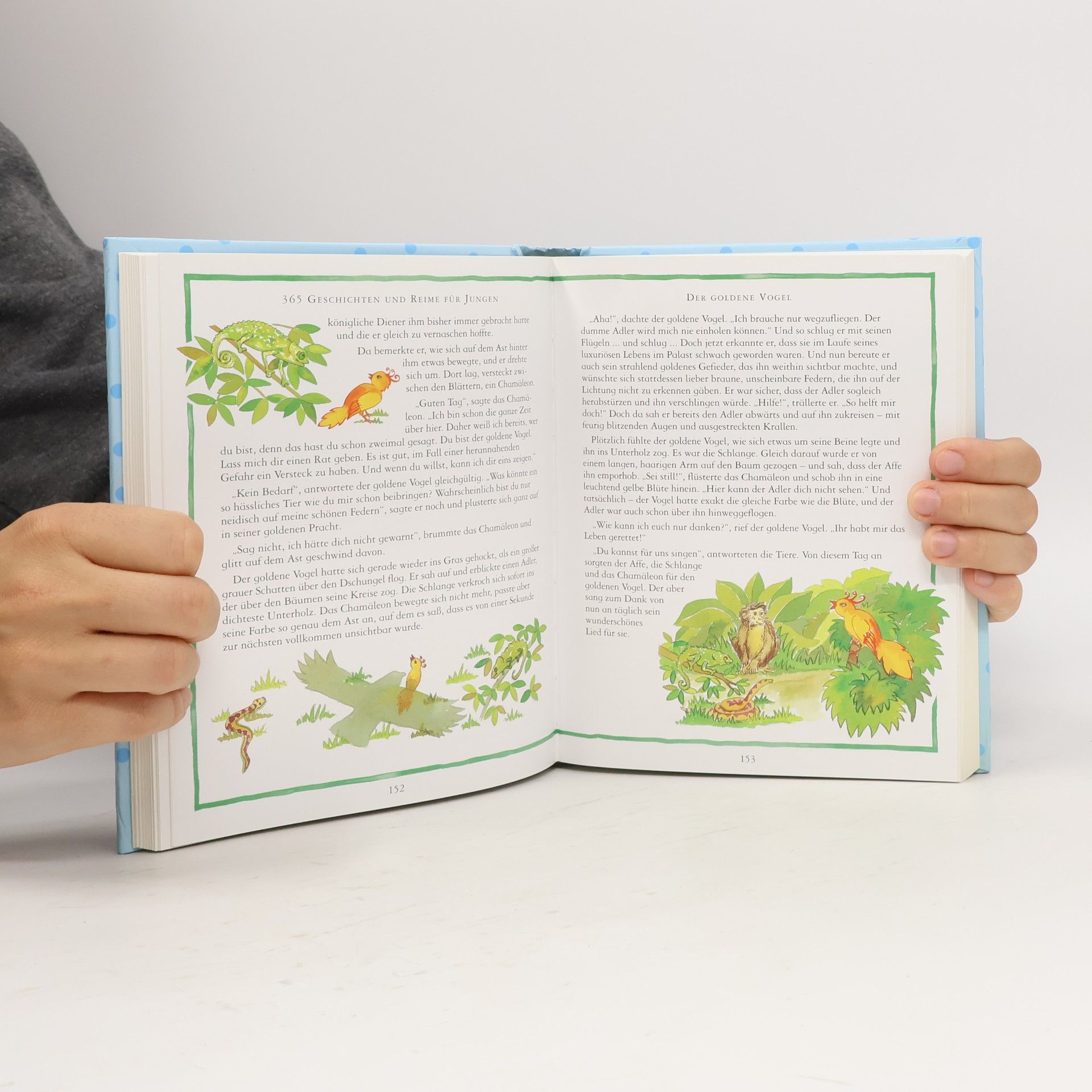 Various authors 365 Geschichten Für Jungen