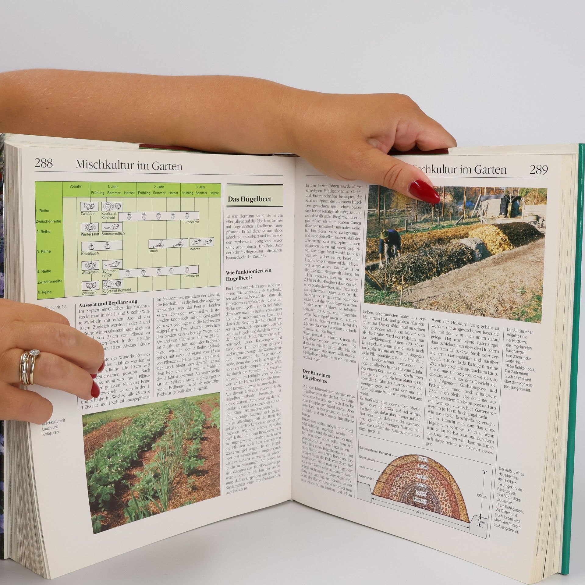 Autorenkollektiv Handbuch Garten. Das große Nachschlagewerk für alle Fragen der Gartenpraxis
