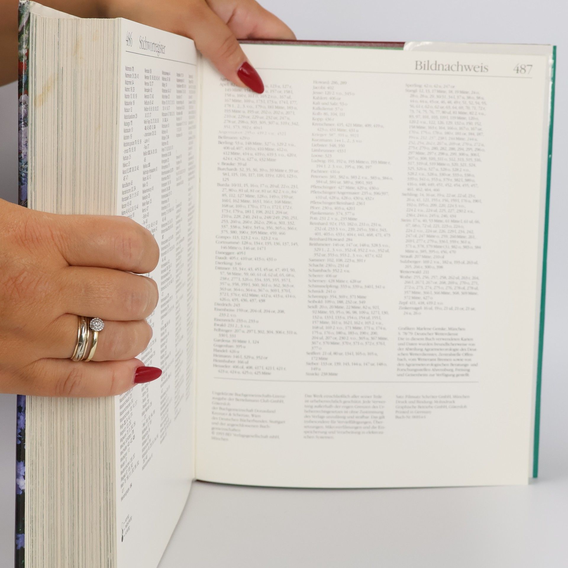 Autorenkollektiv Handbuch Garten. Das große Nachschlagewerk für alle Fragen der Gartenpraxis