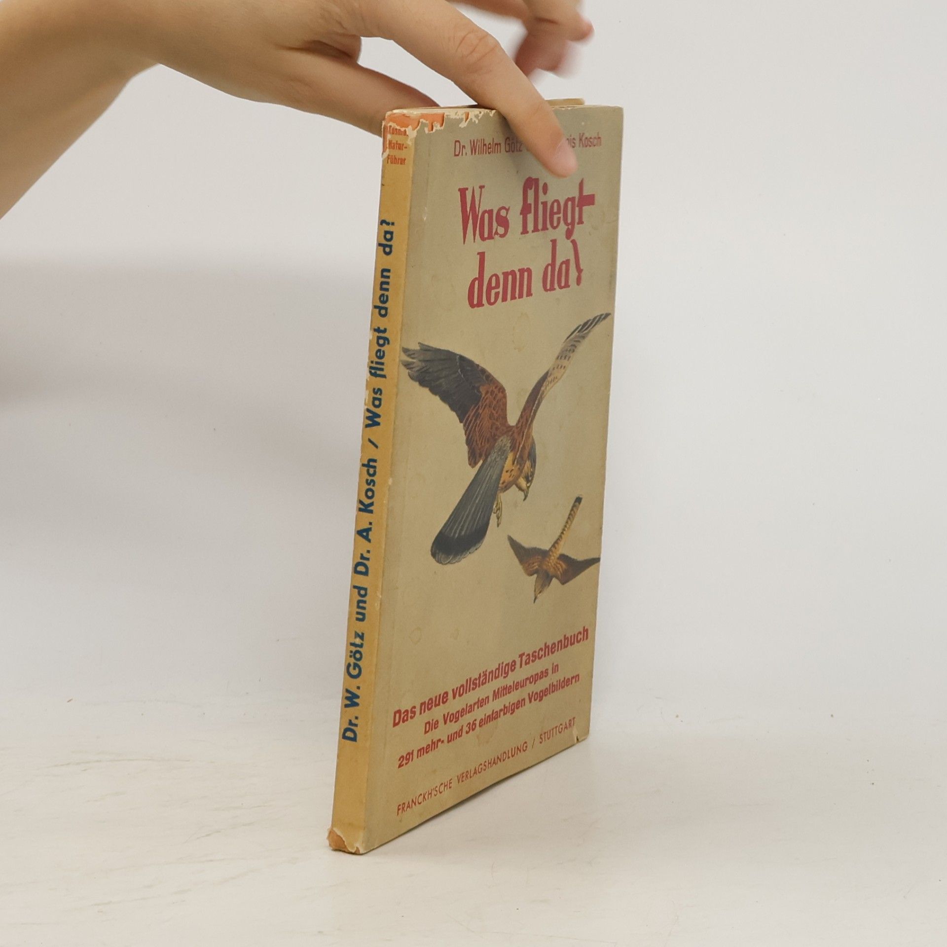 Wilhelm Götz Was fliegt denn da?