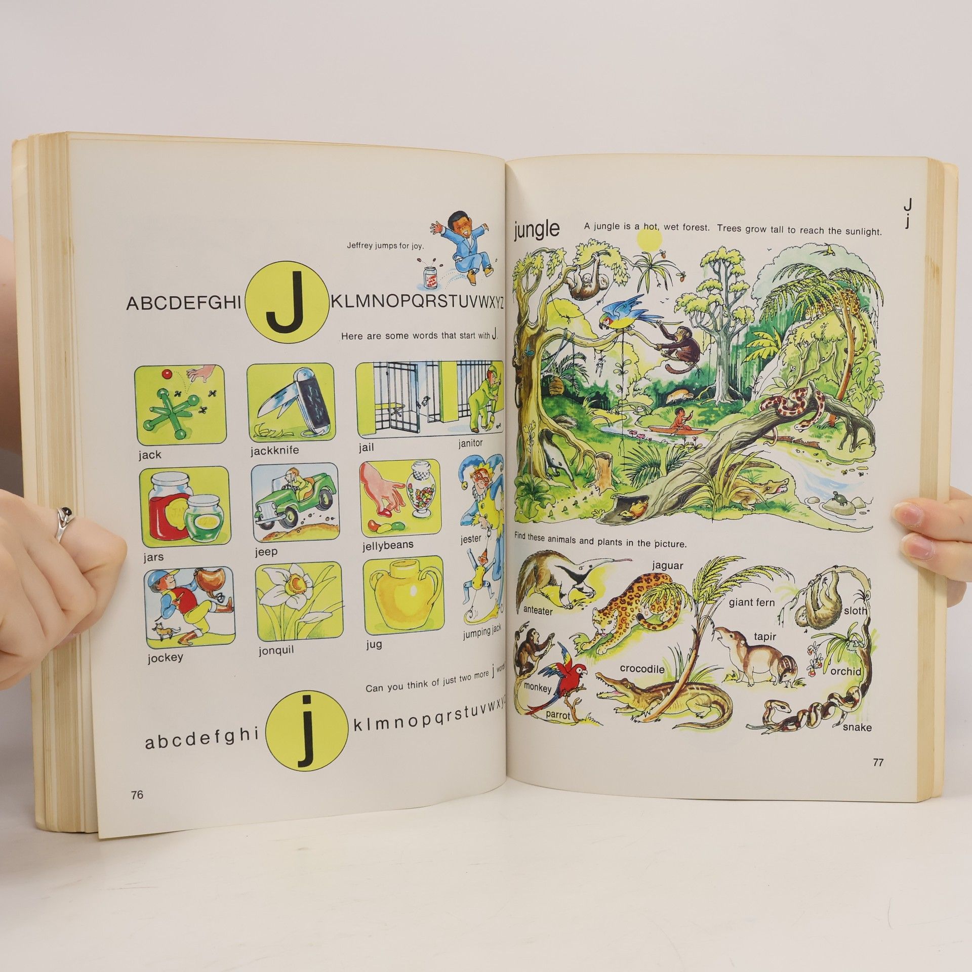 Lucille Ogle The Golden Picture Dictionary