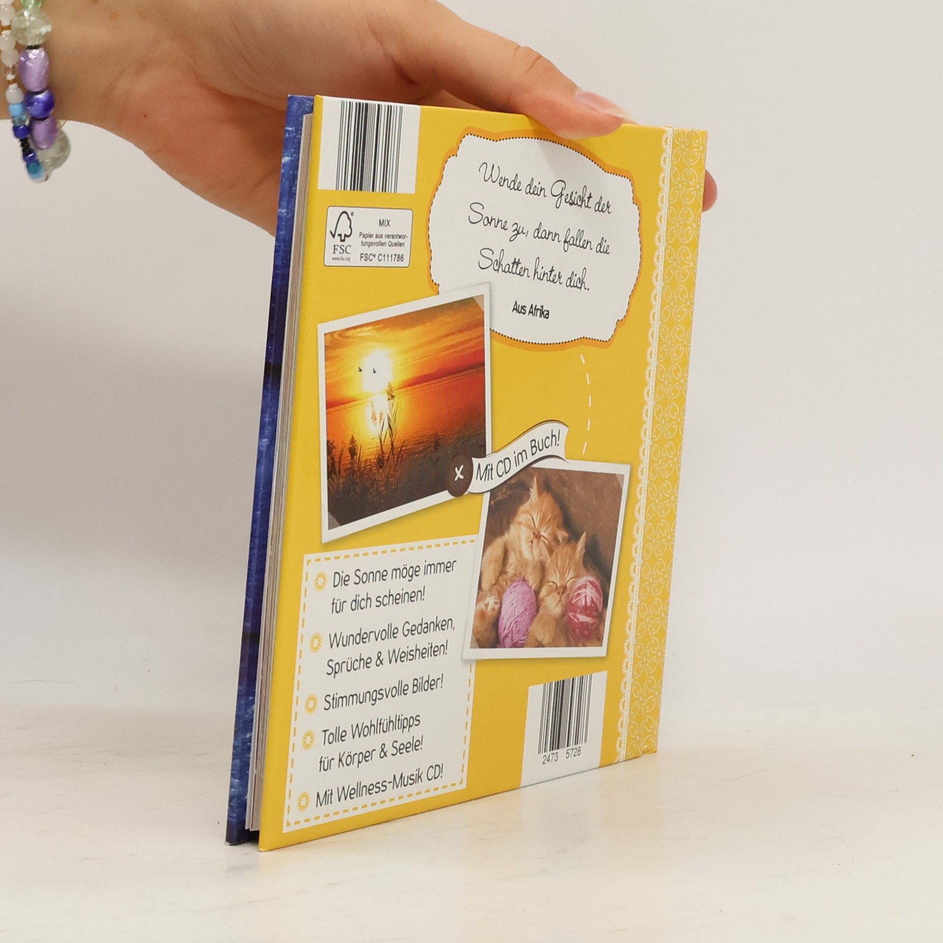 Autores varios Sonnenschein... an allen Tagen!
