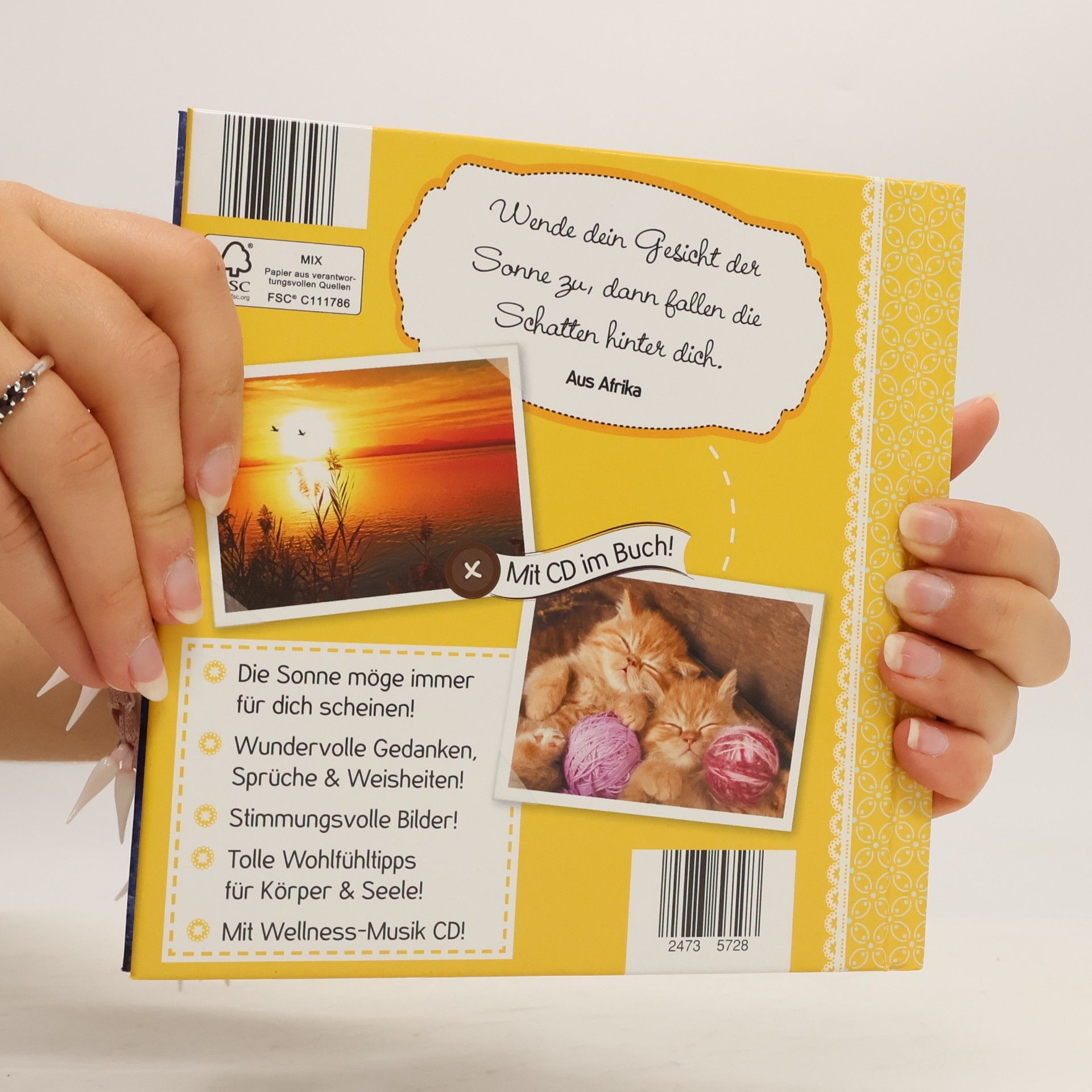 Autores varios Sonnenschein... an allen Tagen!