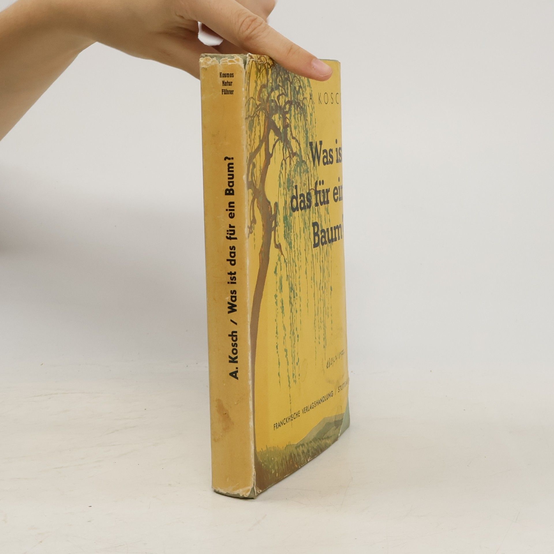 Alois Kosch Was ist das für ein Baum?