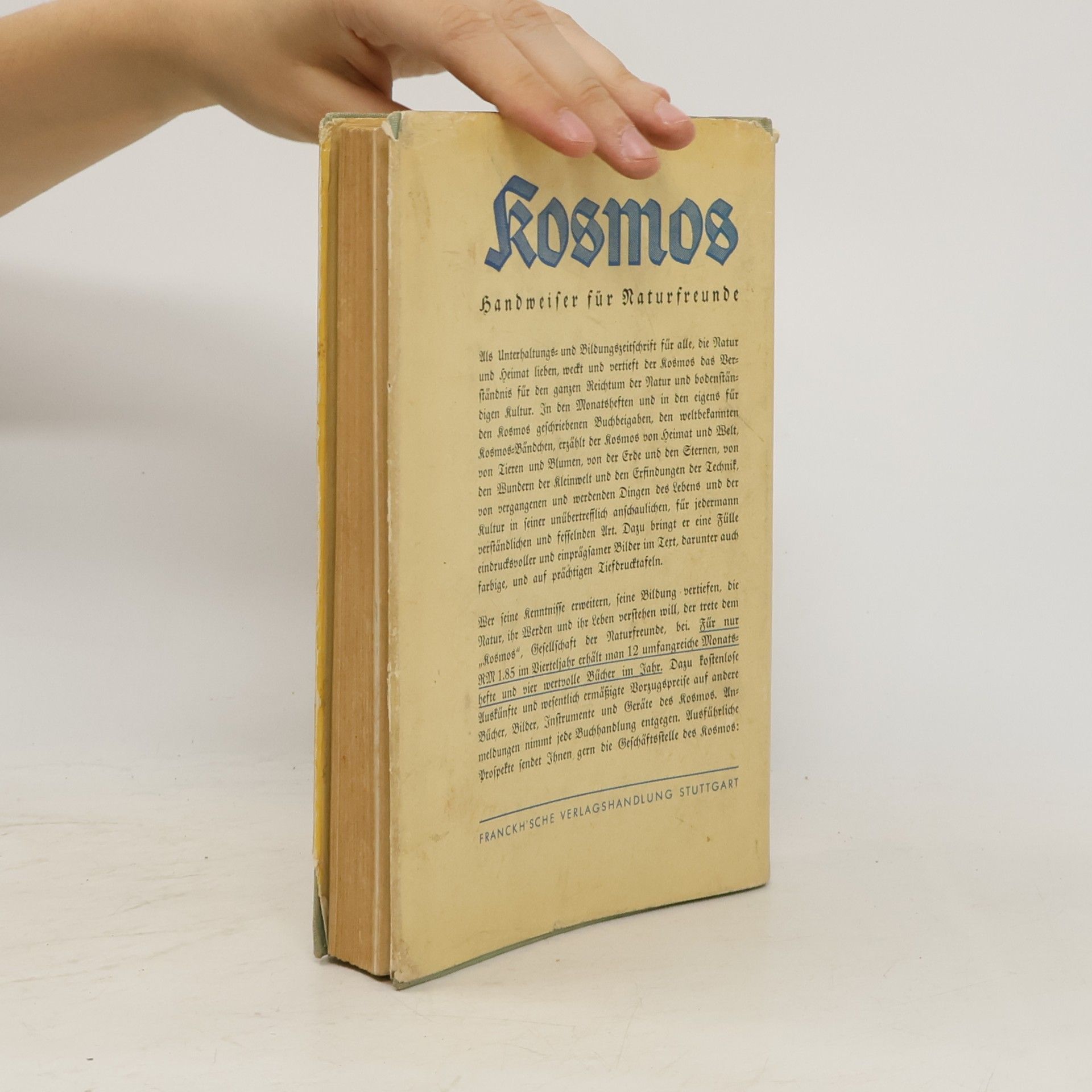Alois Kosch Was ist das für ein Baum?