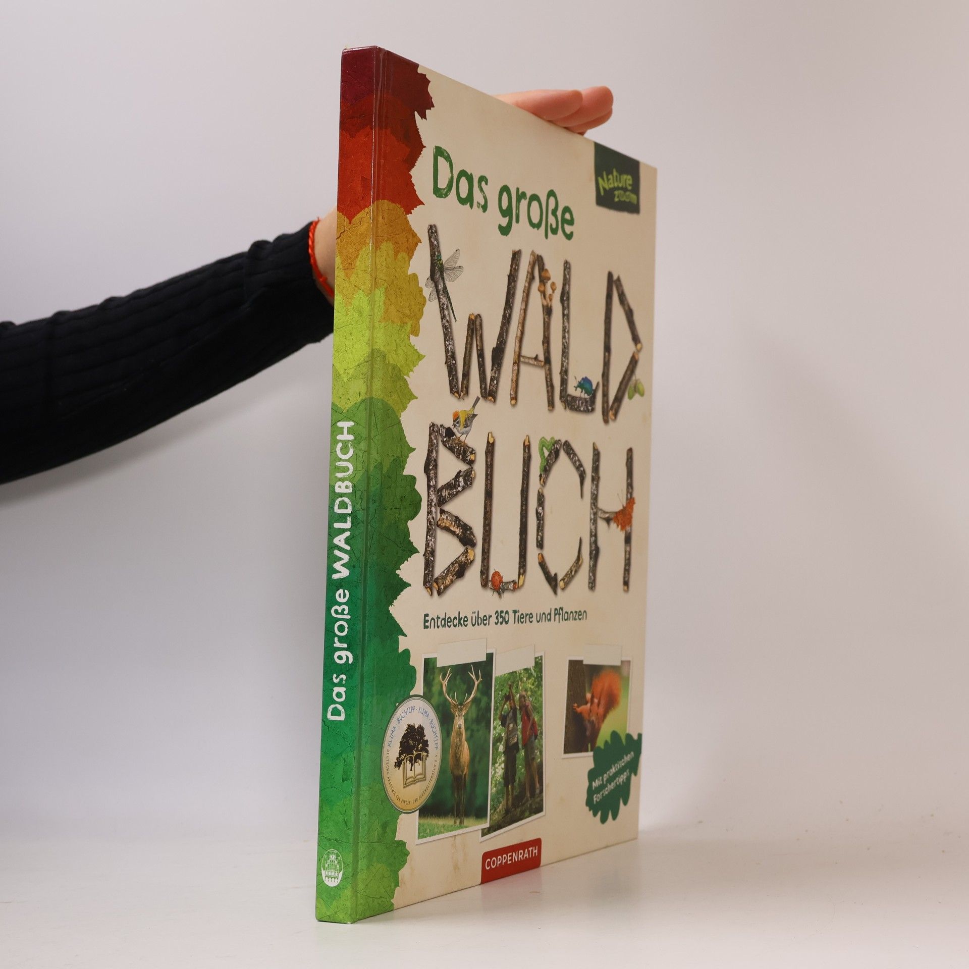 Bärbel Oftring Das große Waldbuch