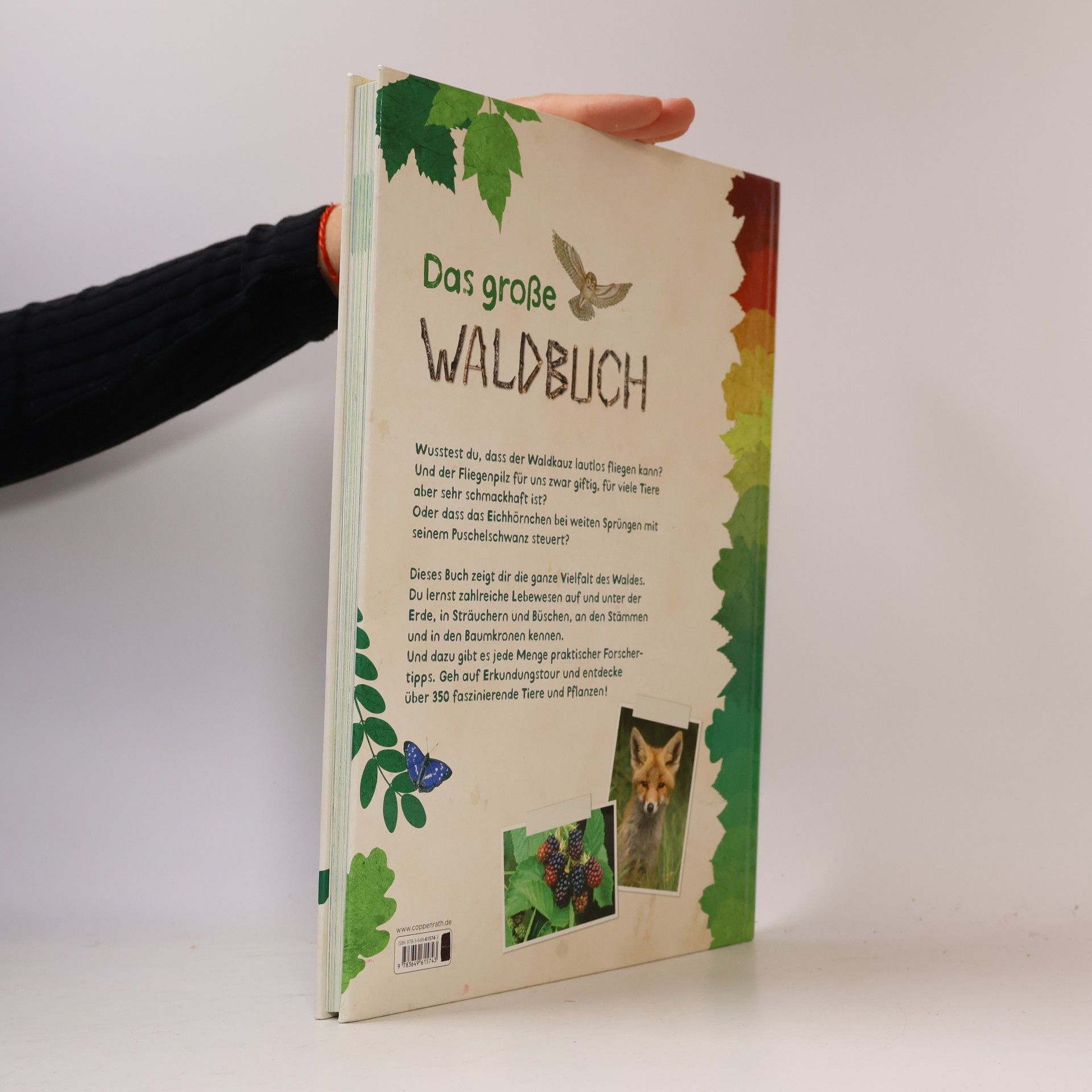Bärbel Oftring Das große Waldbuch