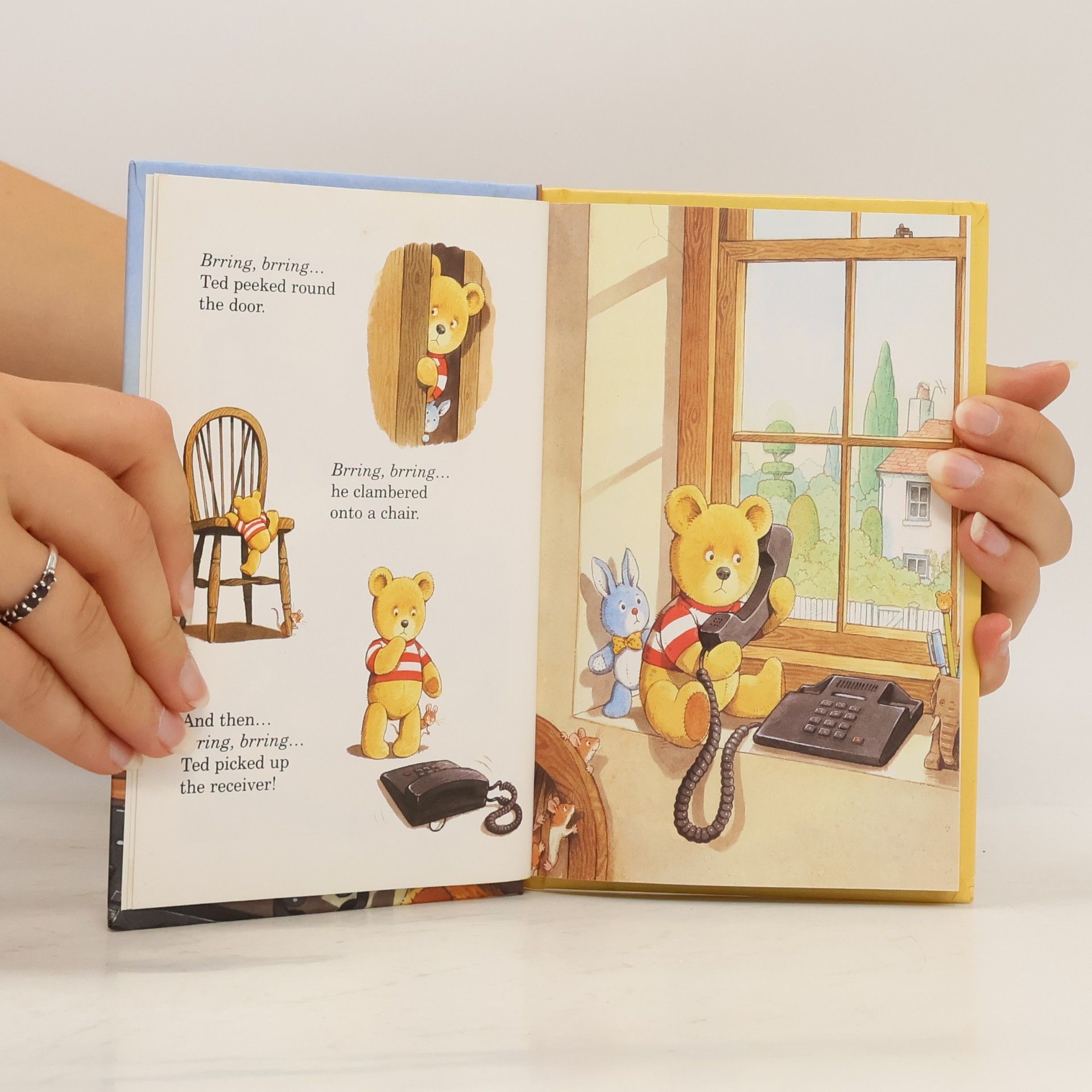 Joan Stimson Ladybird Picture Stories: Telephone Ted