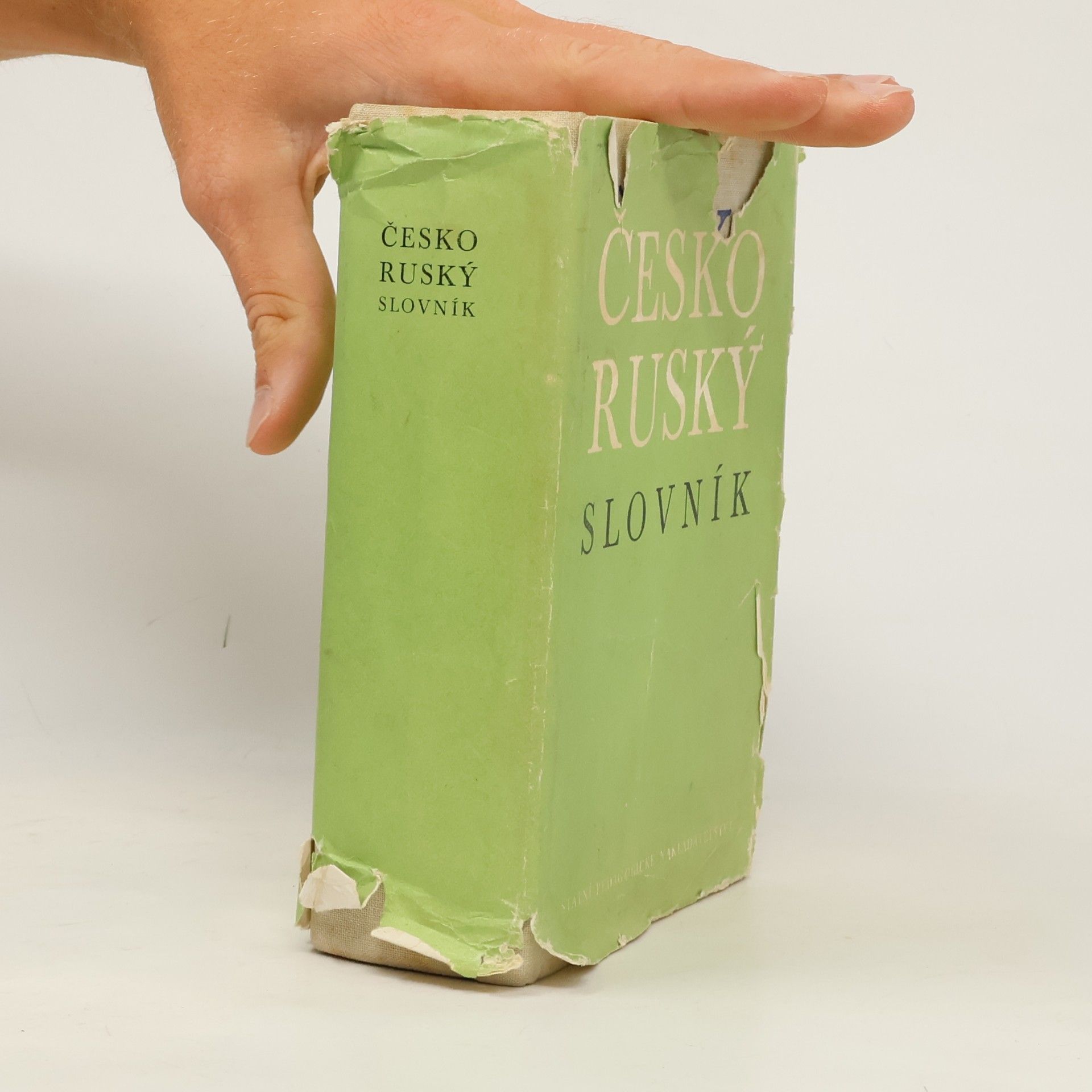 Collectif d'auteurs Česko-ruský slovník