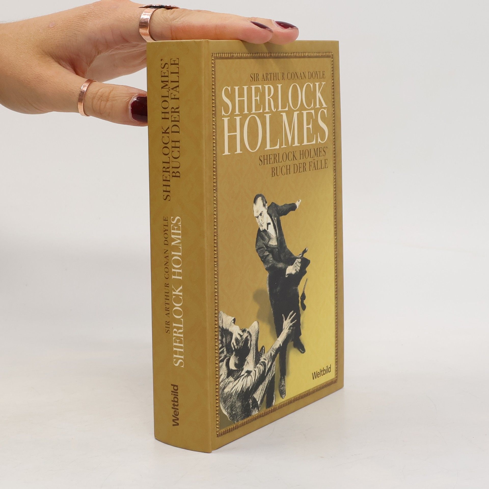 Arthur Conan Doyle Sherlock Holmes. Erzählungen V. Sherlock Holmes' Buch der Fälle