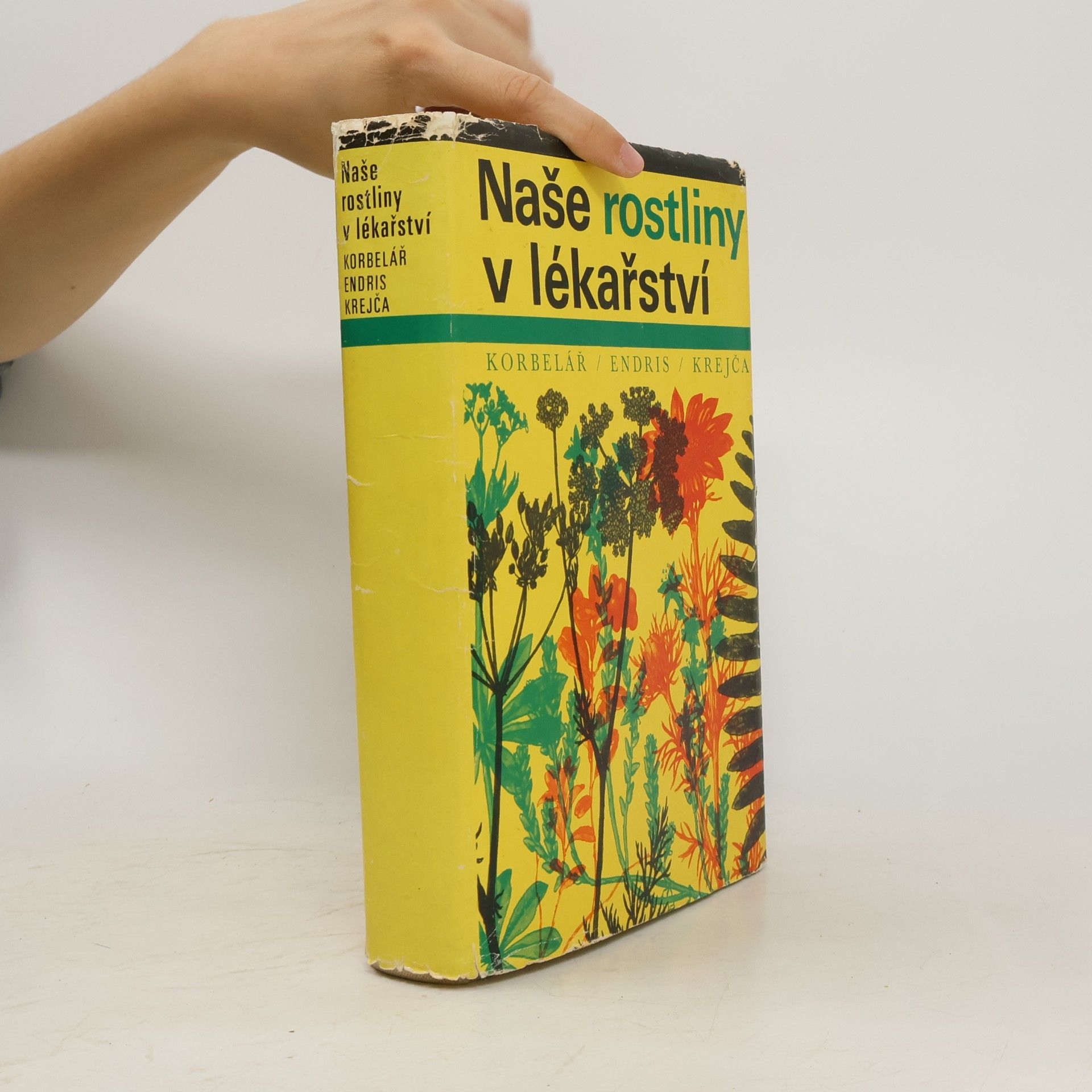 Jaroslav Korbelář Naše rostliny v lékařství