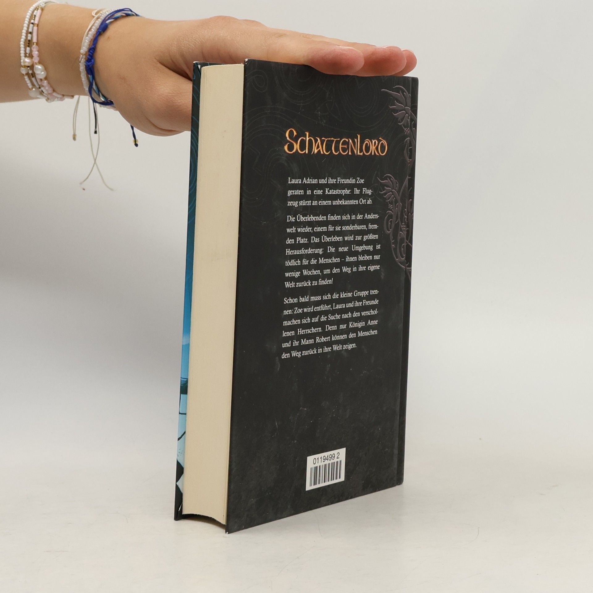 Susan Schwartz Schattenlord. Der Fluch des Seelenfängers