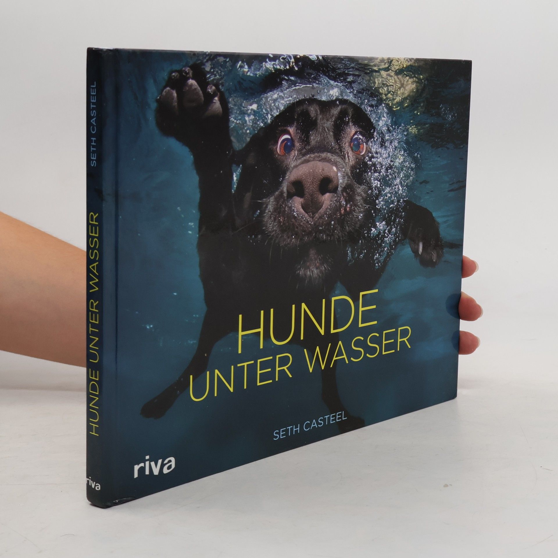 Seth Casteel Hunde unter Wasser