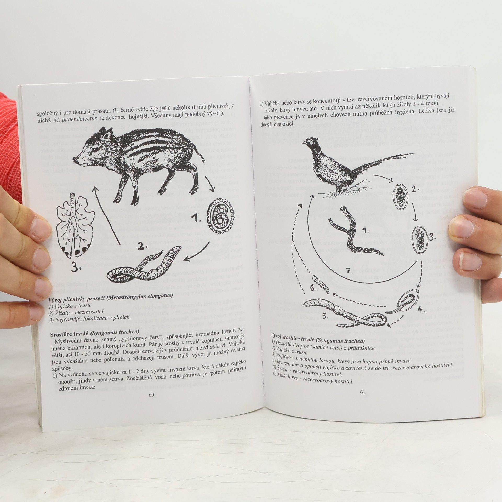 Various authors Chov a lov zvěře