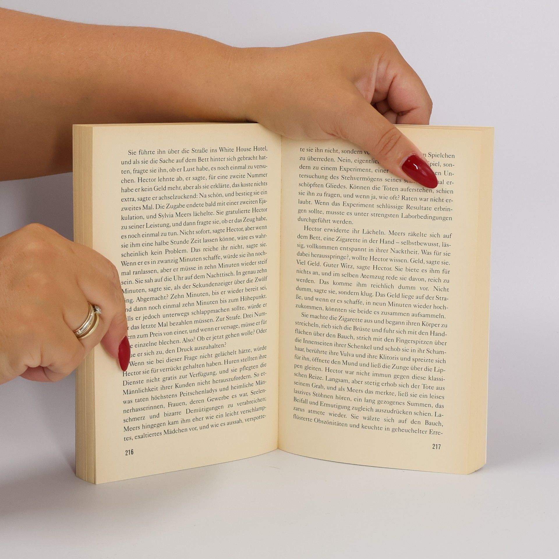 Paul Auster Das Buch der Illusionen