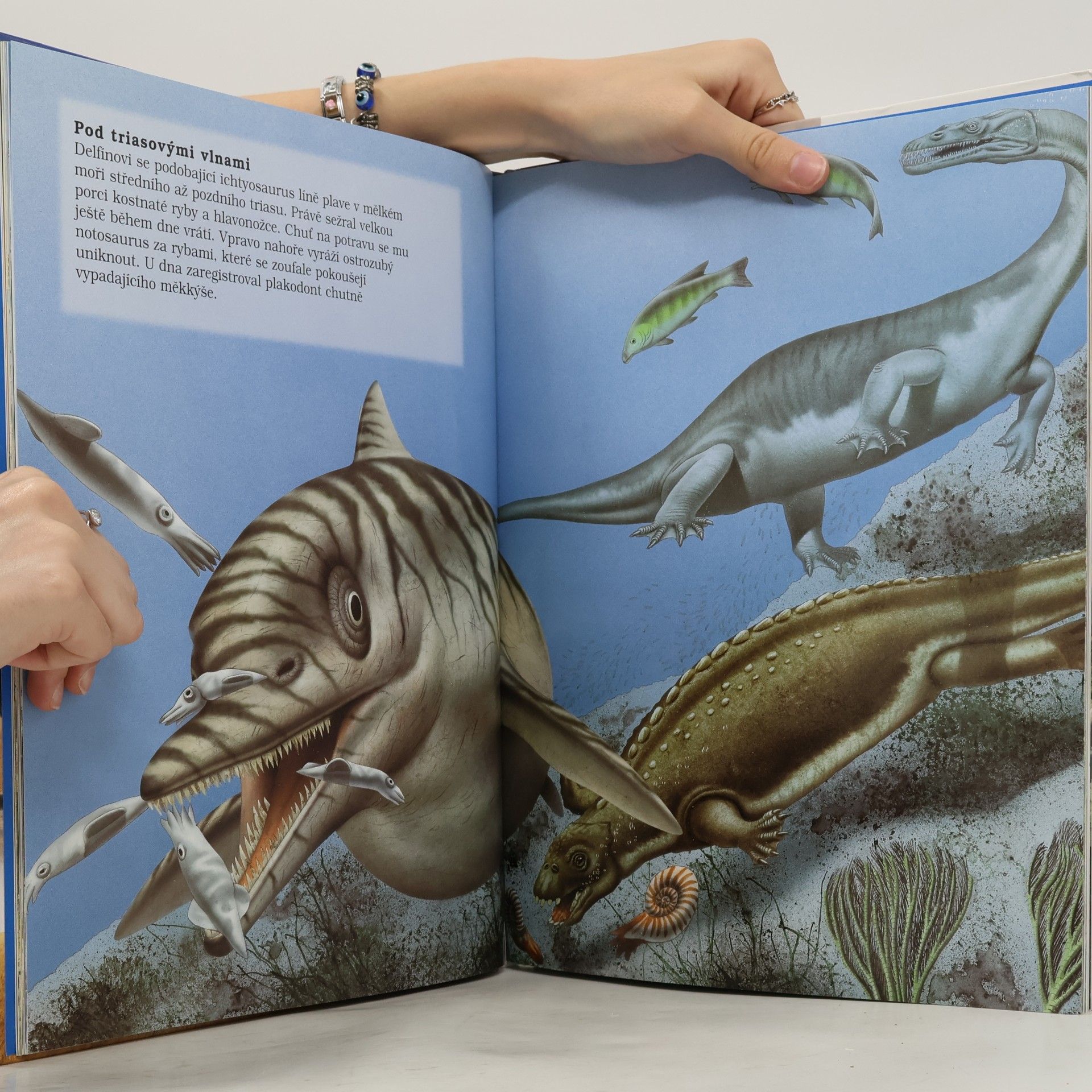 Rupert Matthews Světem dinosaurů