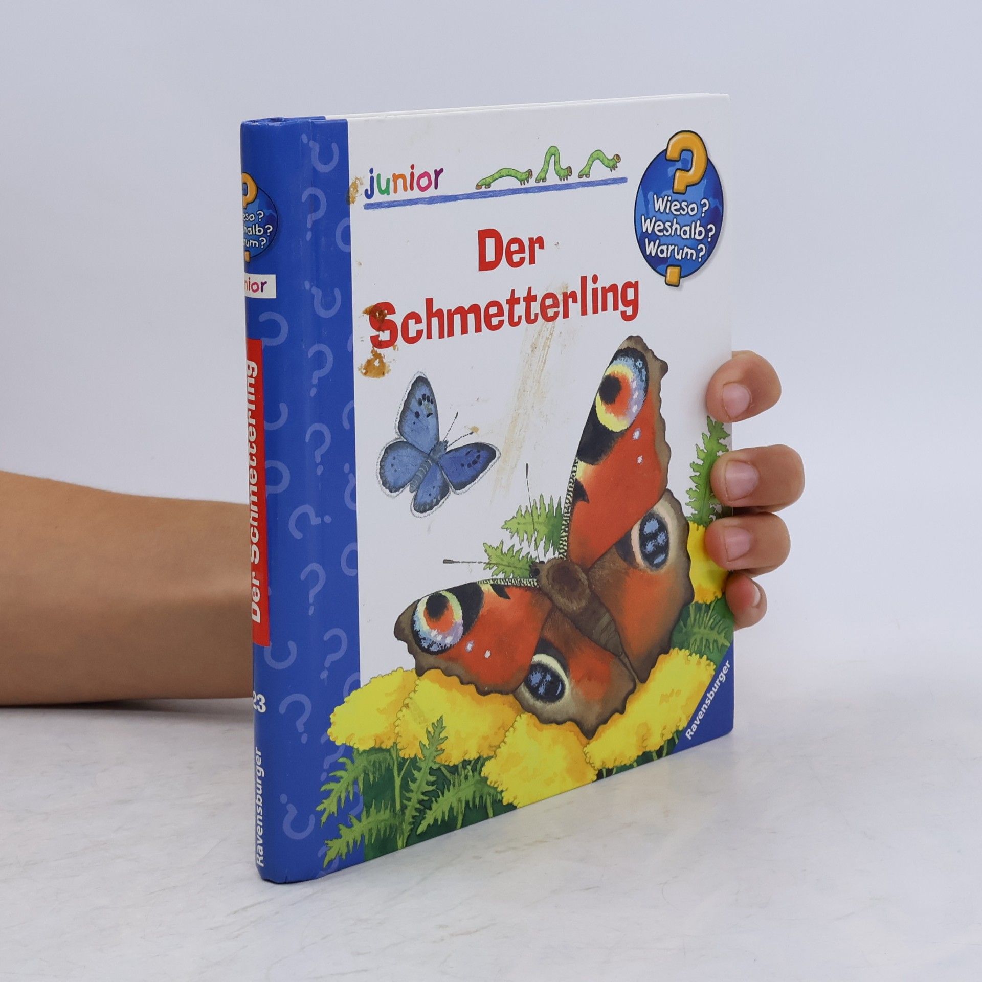 Anne Ebert Wieso? Weshalb? Warum? junior - 23: Der Schmetterling