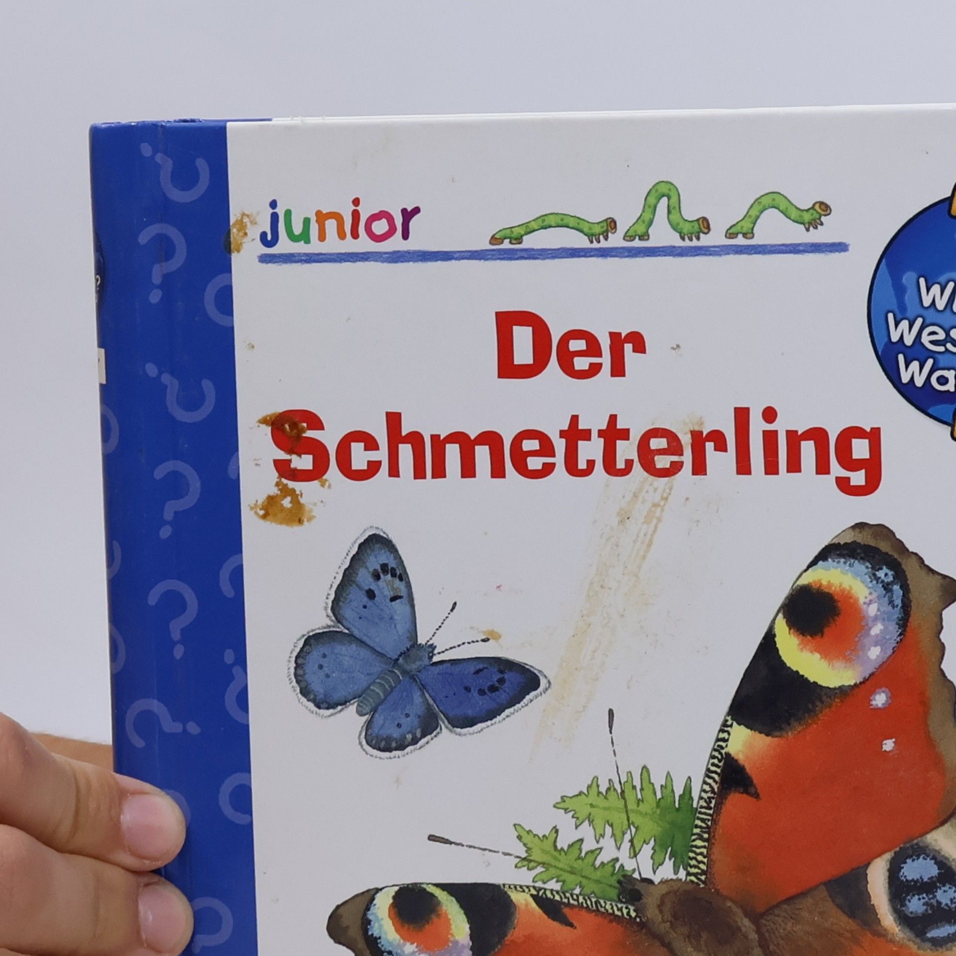 Anne Ebert Wieso? Weshalb? Warum? junior - 23: Der Schmetterling