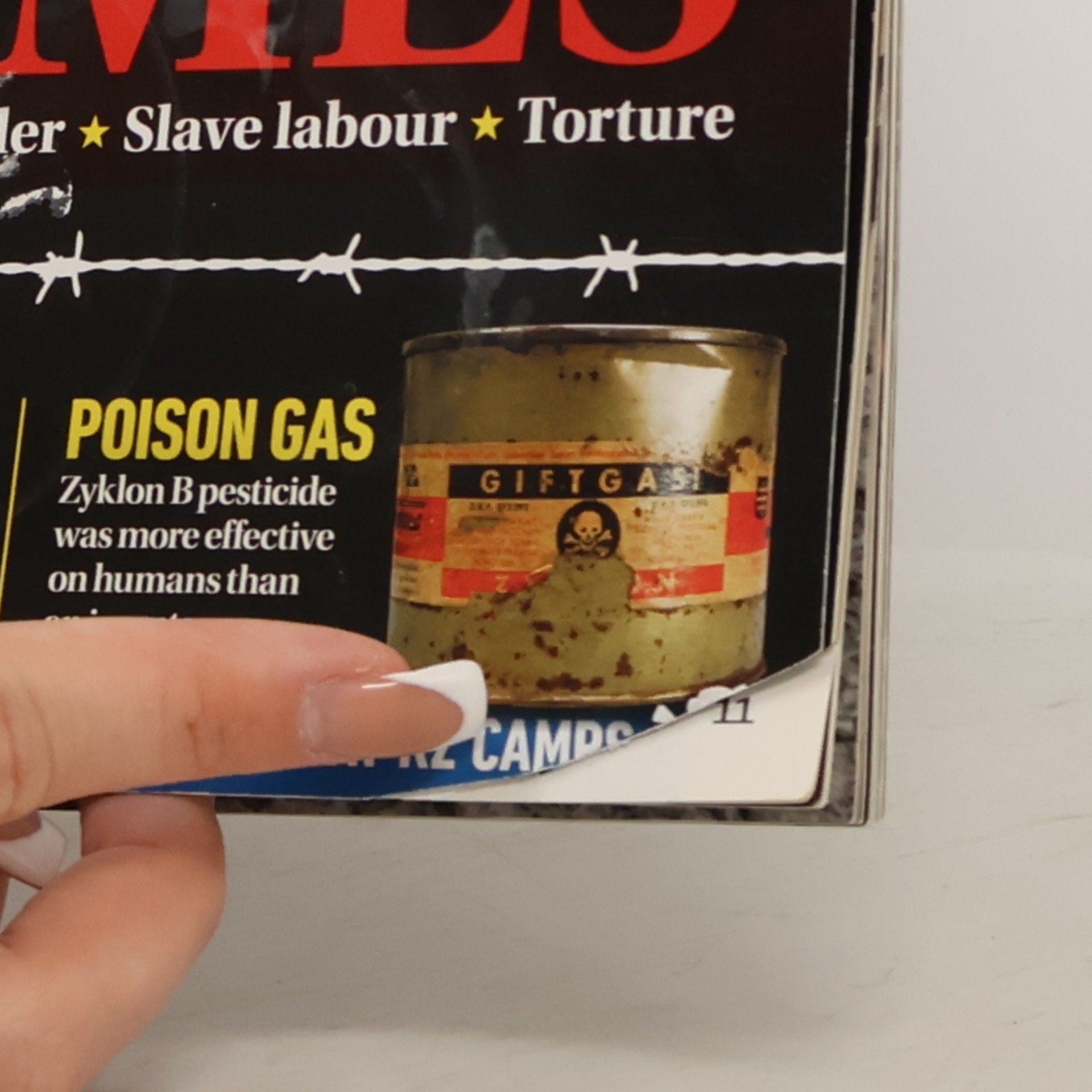 Autorenkollektiv Bringing History to Life: WW2's Darkest Crimes
