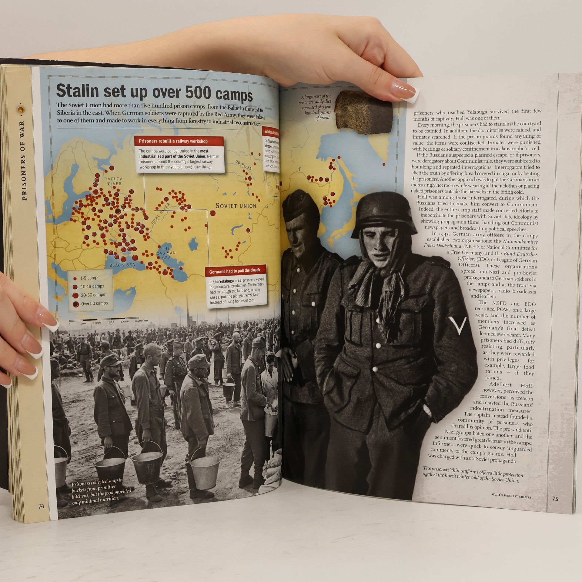 Autorenkollektiv Bringing History to Life: WW2's Darkest Crimes