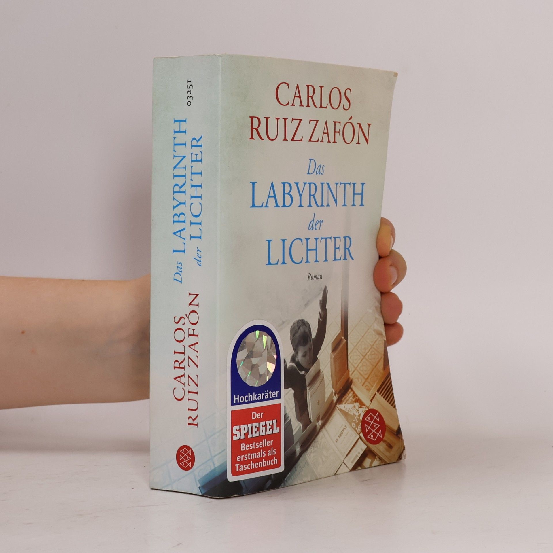 Carlos Ruiz Zafón Das Labyrinth der Lichter