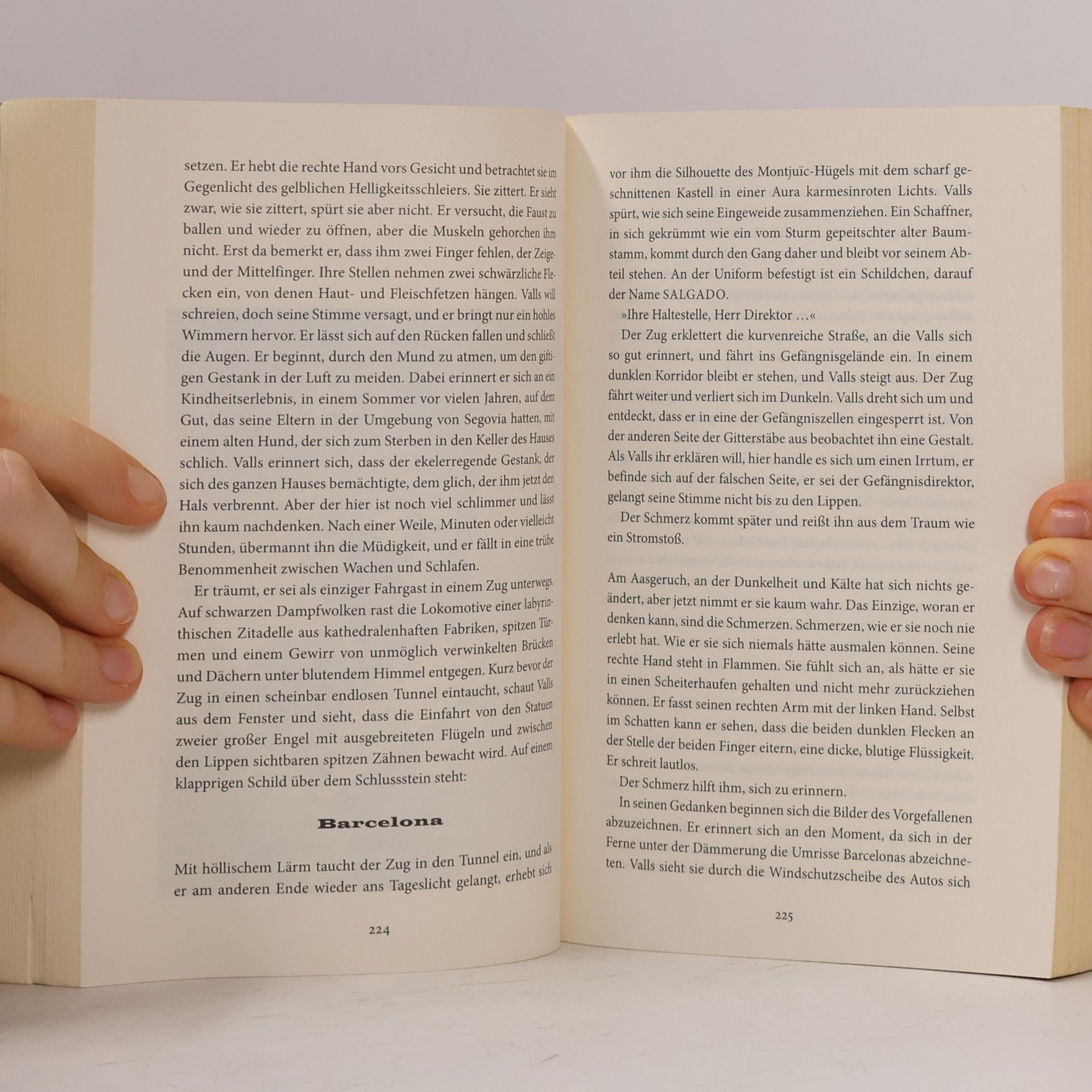 Carlos Ruiz Zafón Das Labyrinth der Lichter