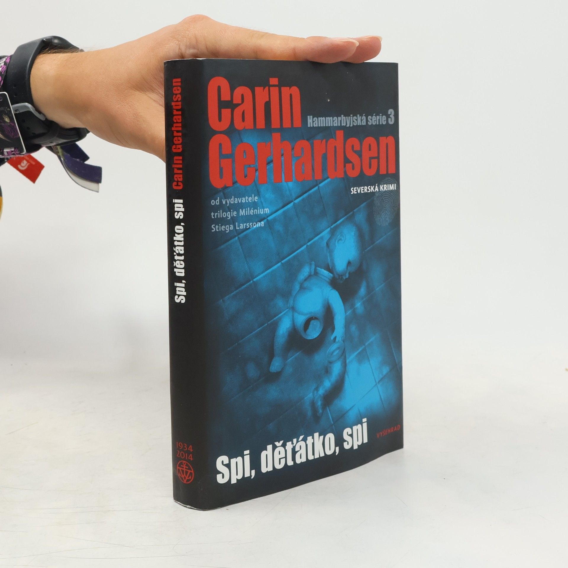 Carin Gerhardsen Spi, děťátko, spi. Hammarbyjská série. 3. díl