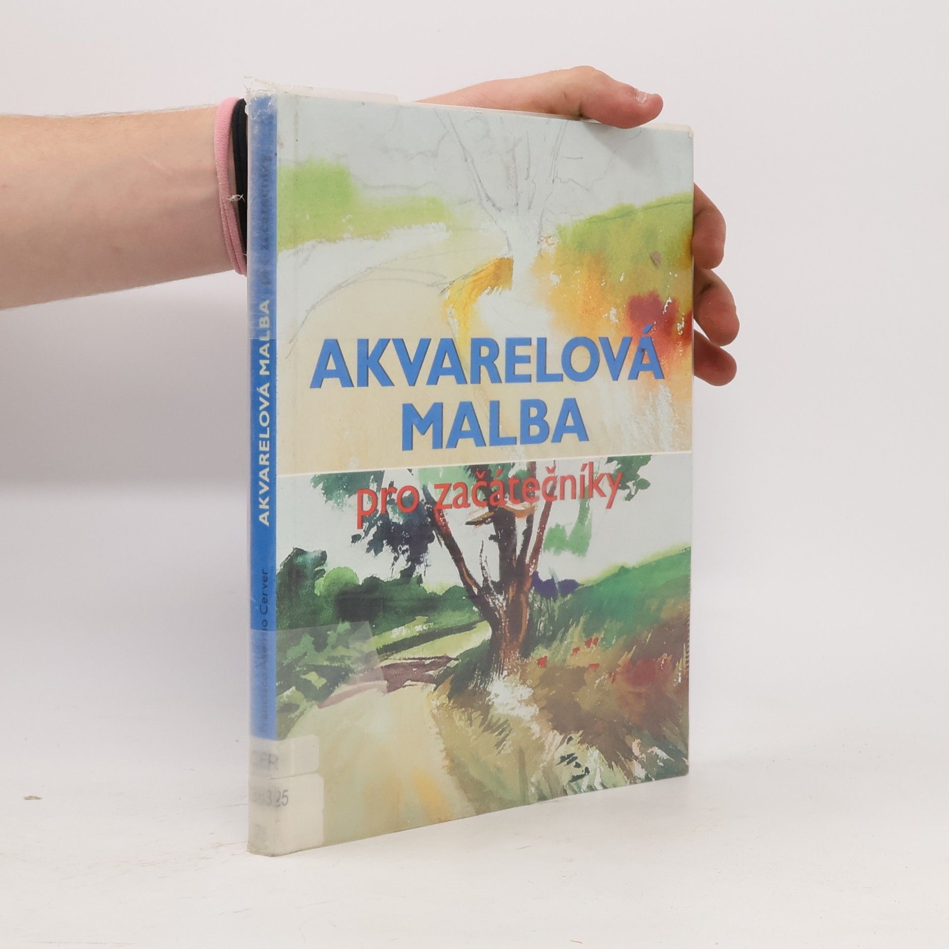Francisco Asensio Cerver Akvarelová malba pro začátečníky