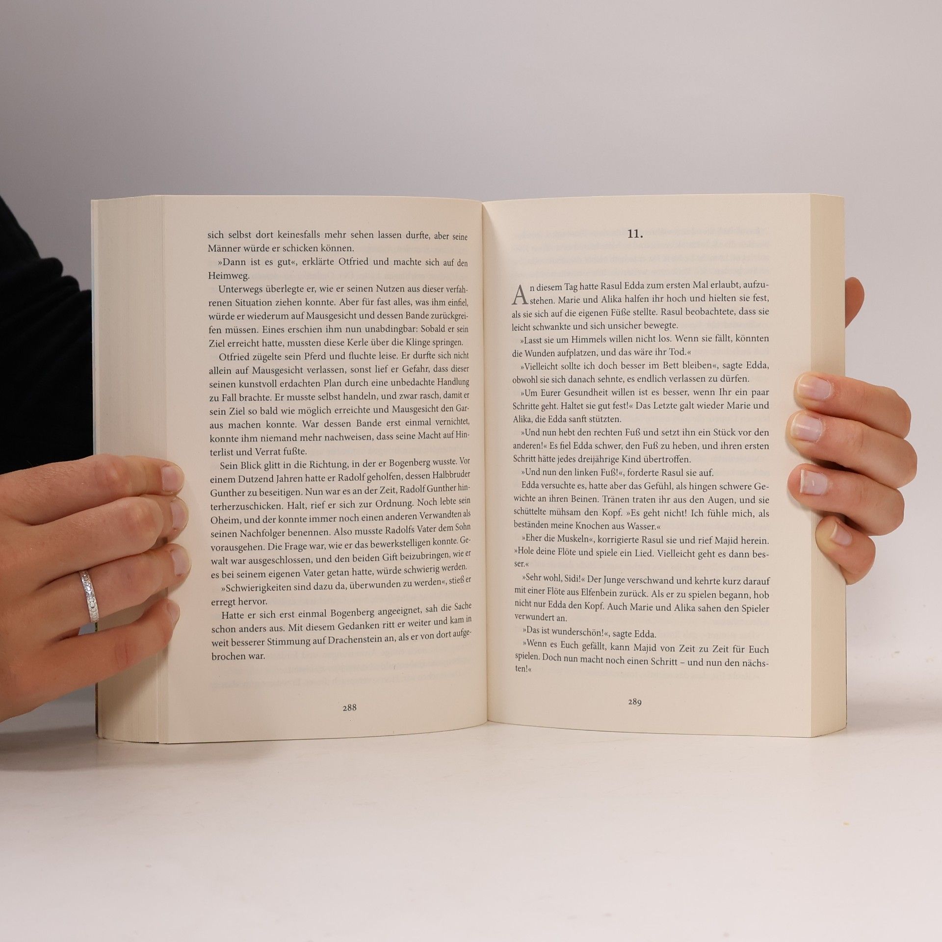 Iny Lorentz Die Wanderhure und der orientalische Arzt