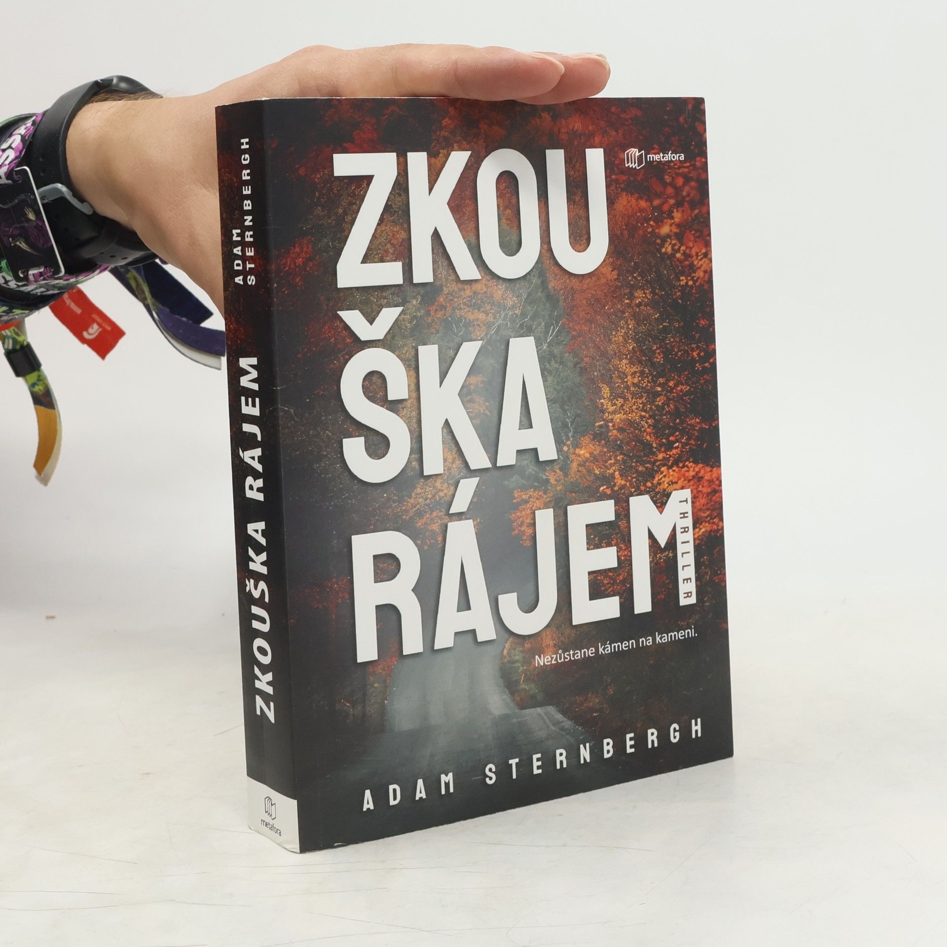 Adam Sternbergh Zkouška rájem