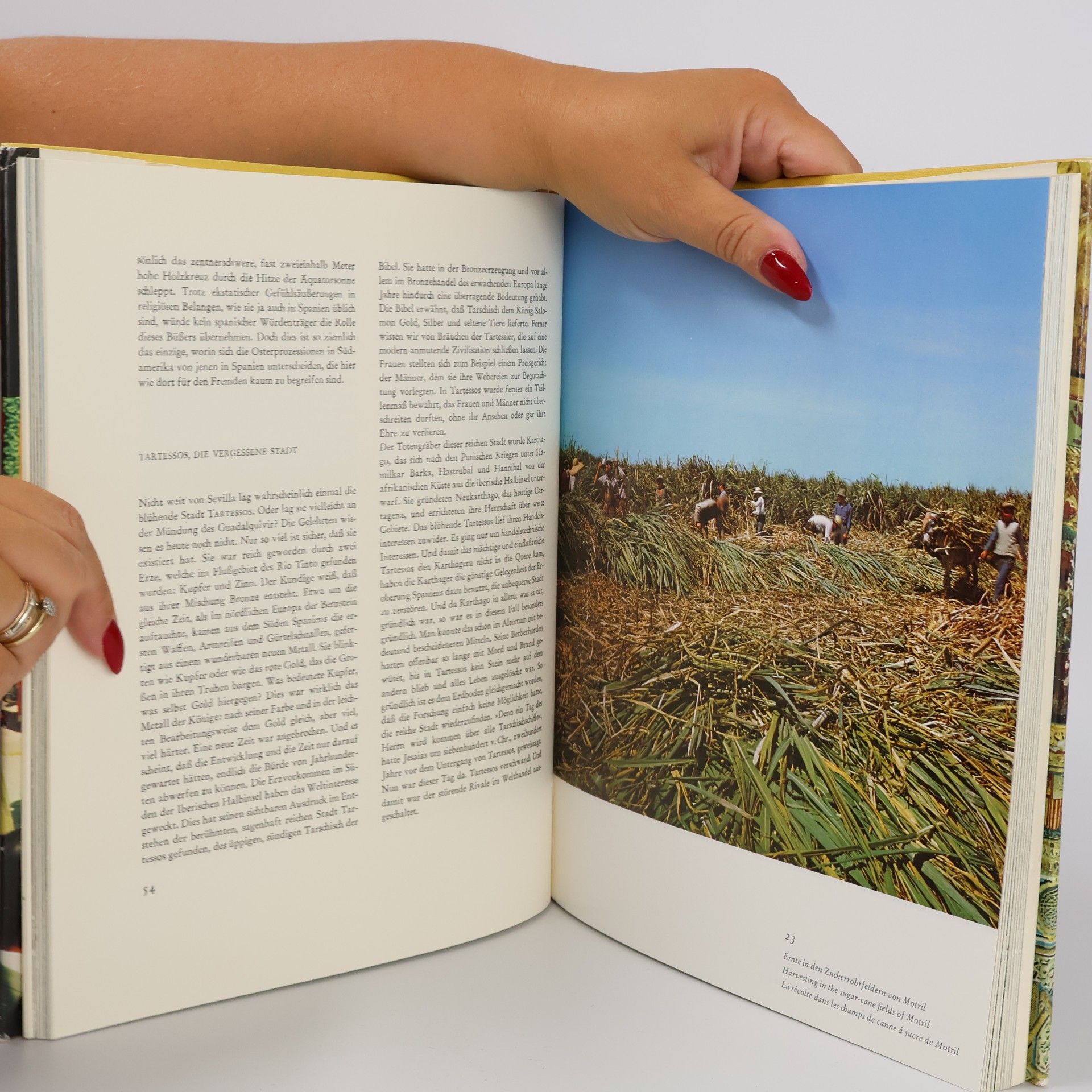 H. Frei Das Grosse Spanien Buch