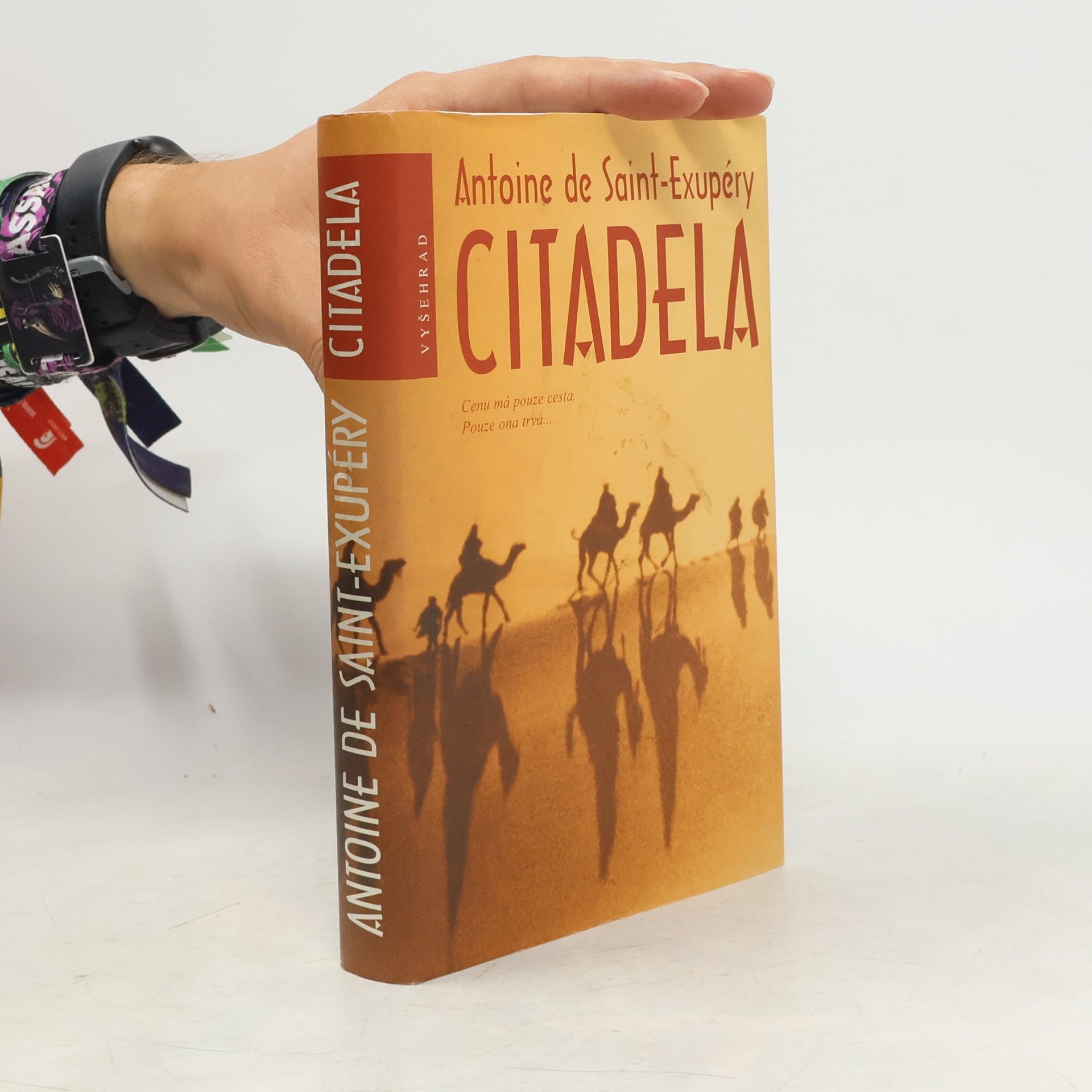 Antoine de Saint-Exupéry Citadela
