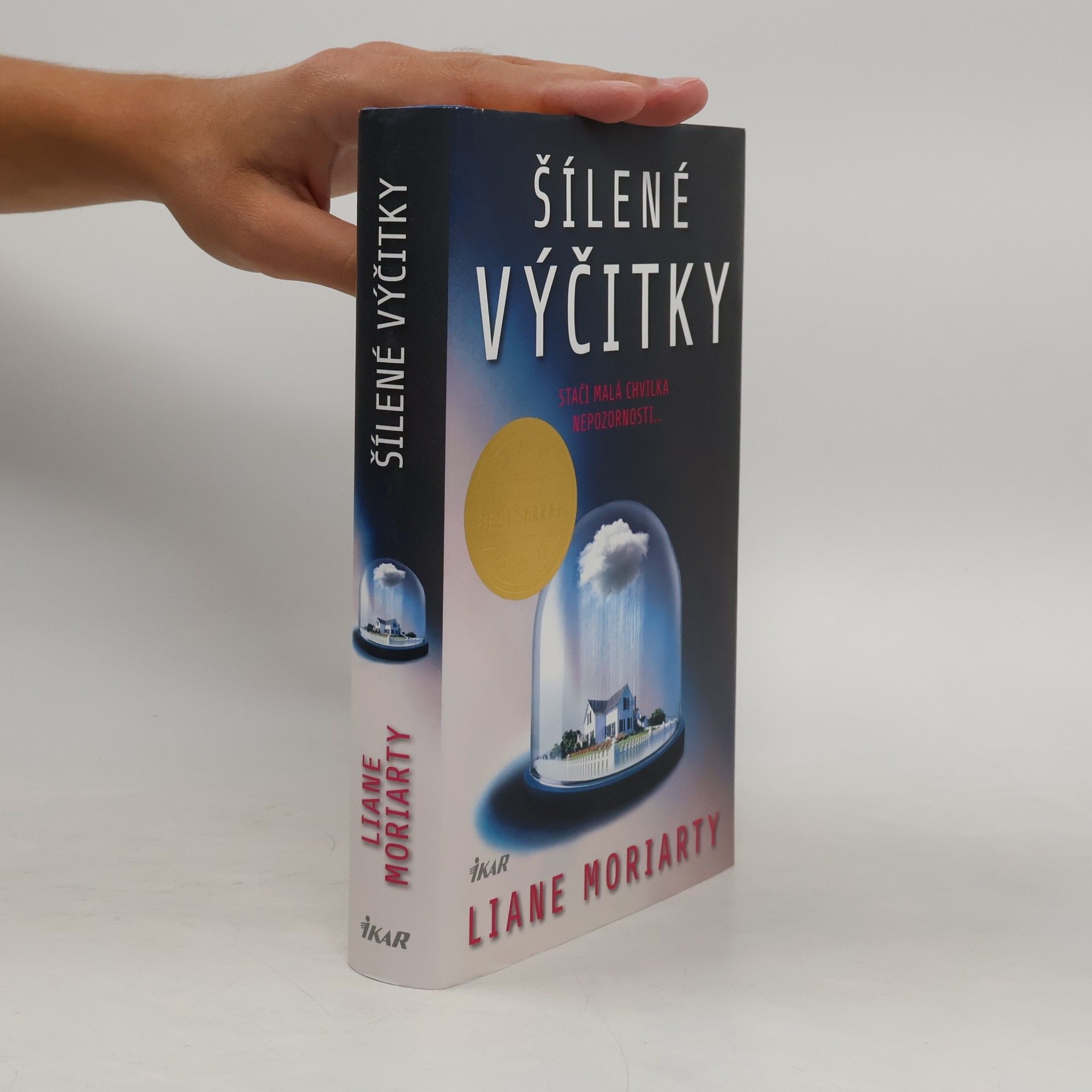 Liane Moriarty Šílené výčitky