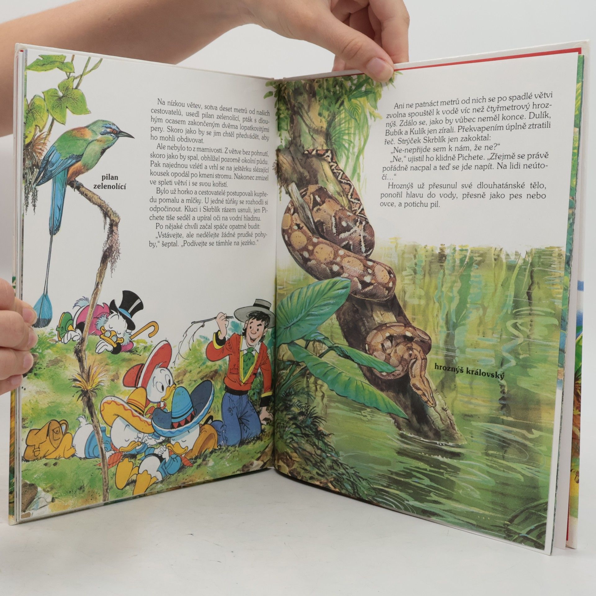 Walt Disney Za tajemstvím pralesa