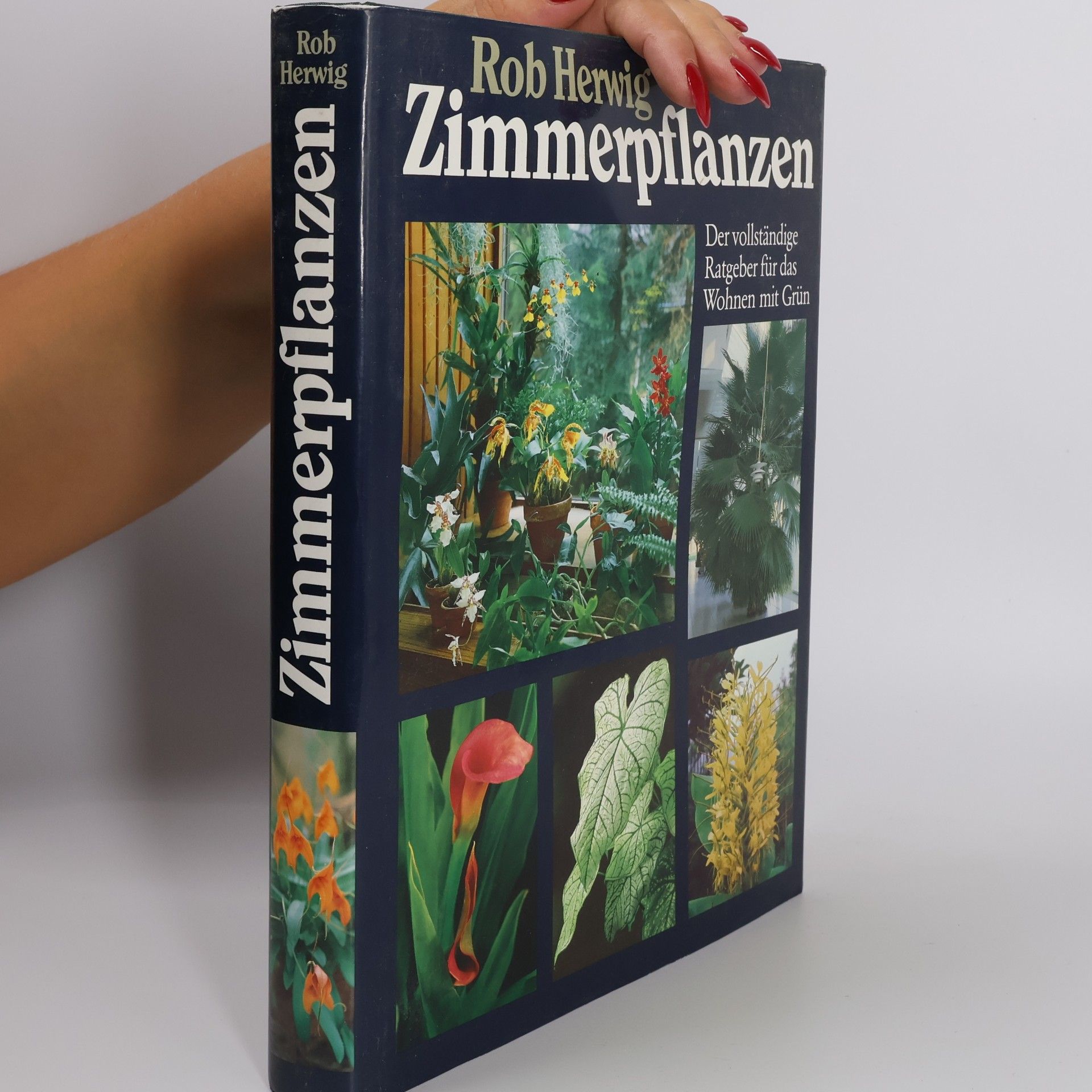 Rob Hewig Zimmerpflanzen