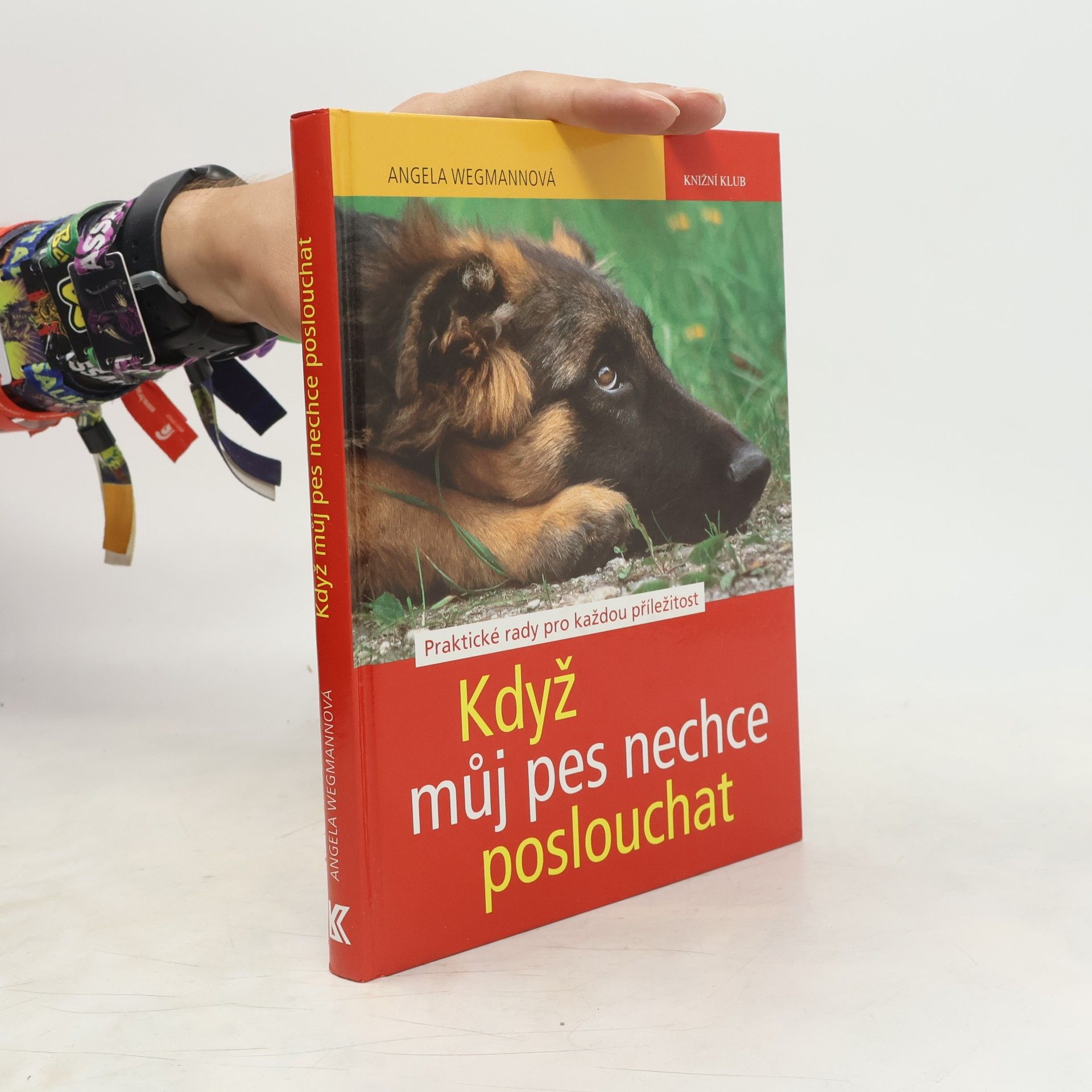 Angela Wegmann Když můj pes nechce poslouchat: Praktické rady pro každou příležitost