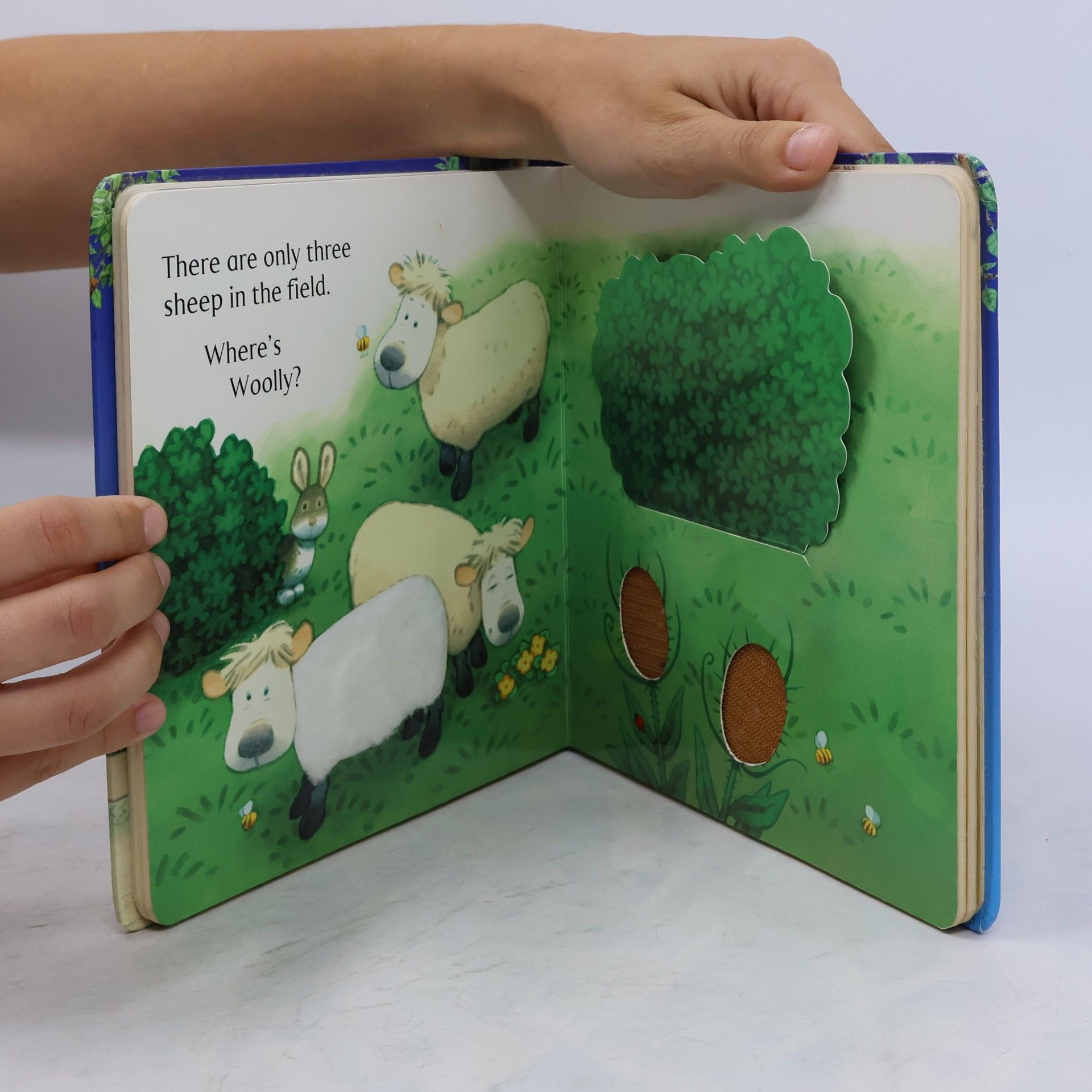 Jenny Tyler Animal Hide-and-Seek