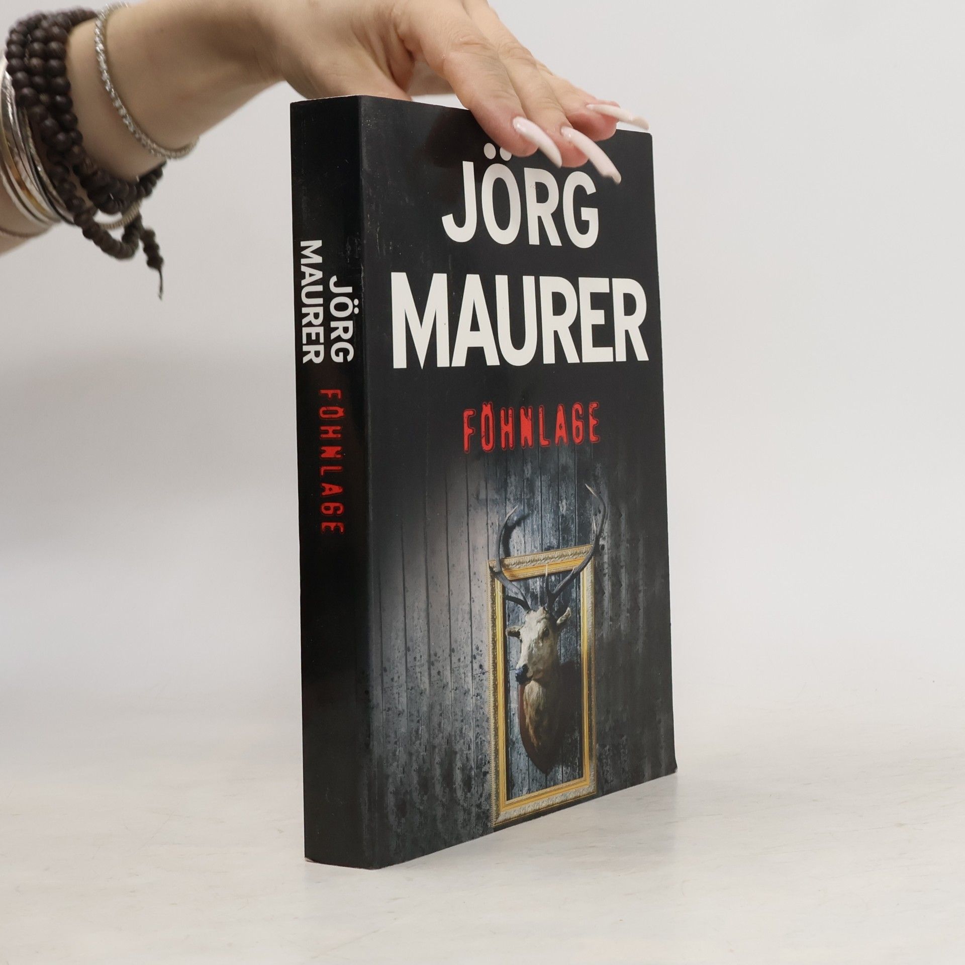 Jörg Maurer Föhnlage