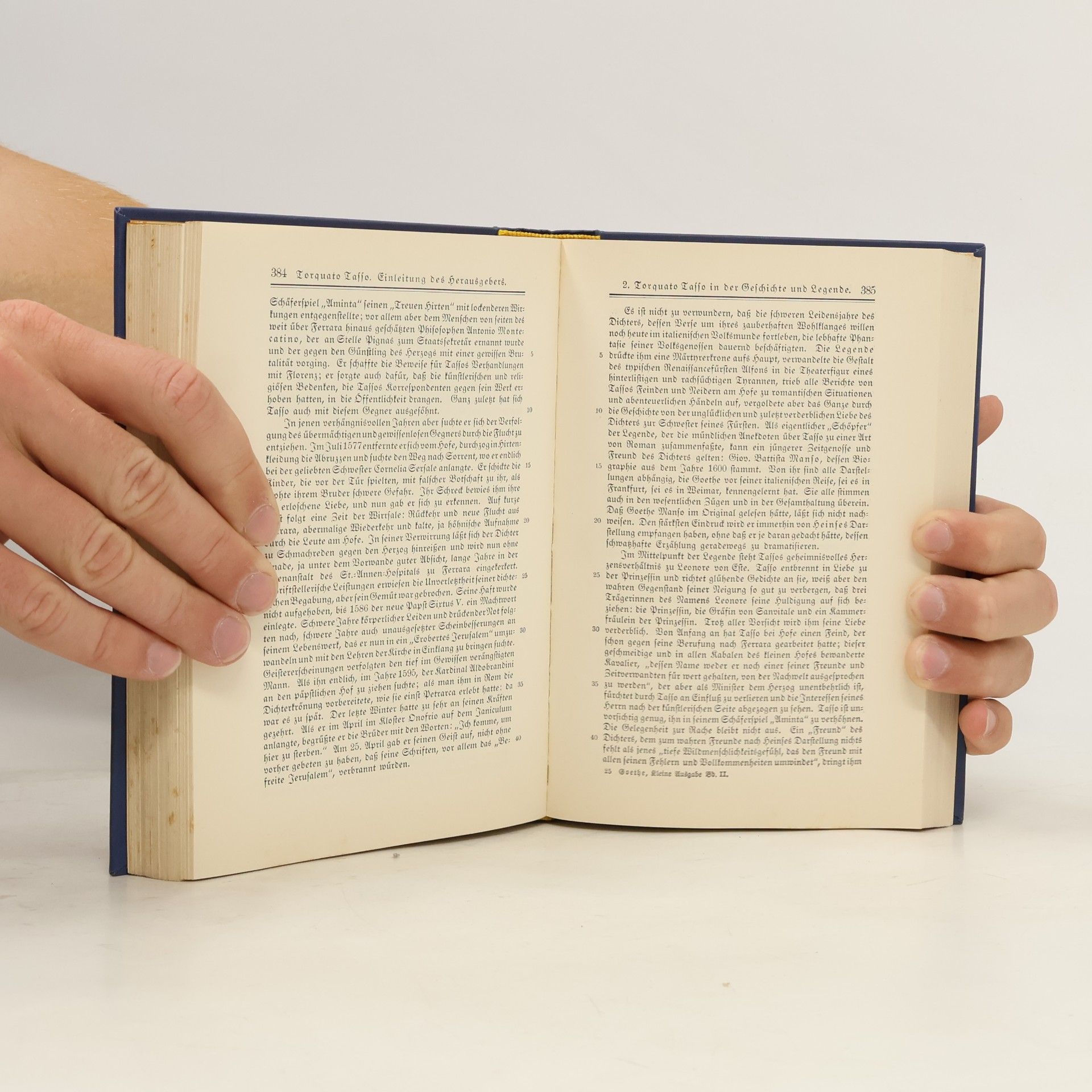 Heinrich Kurz Goethes Werke 2