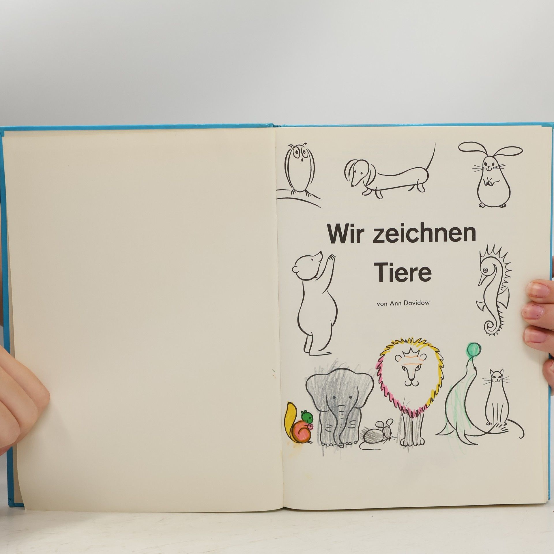 Ann Davidow Wir zeichnen Tiere