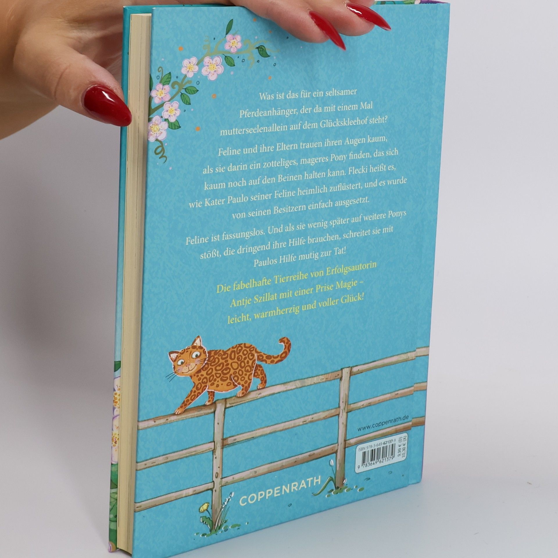 Antje Szillat Das Ponywunder