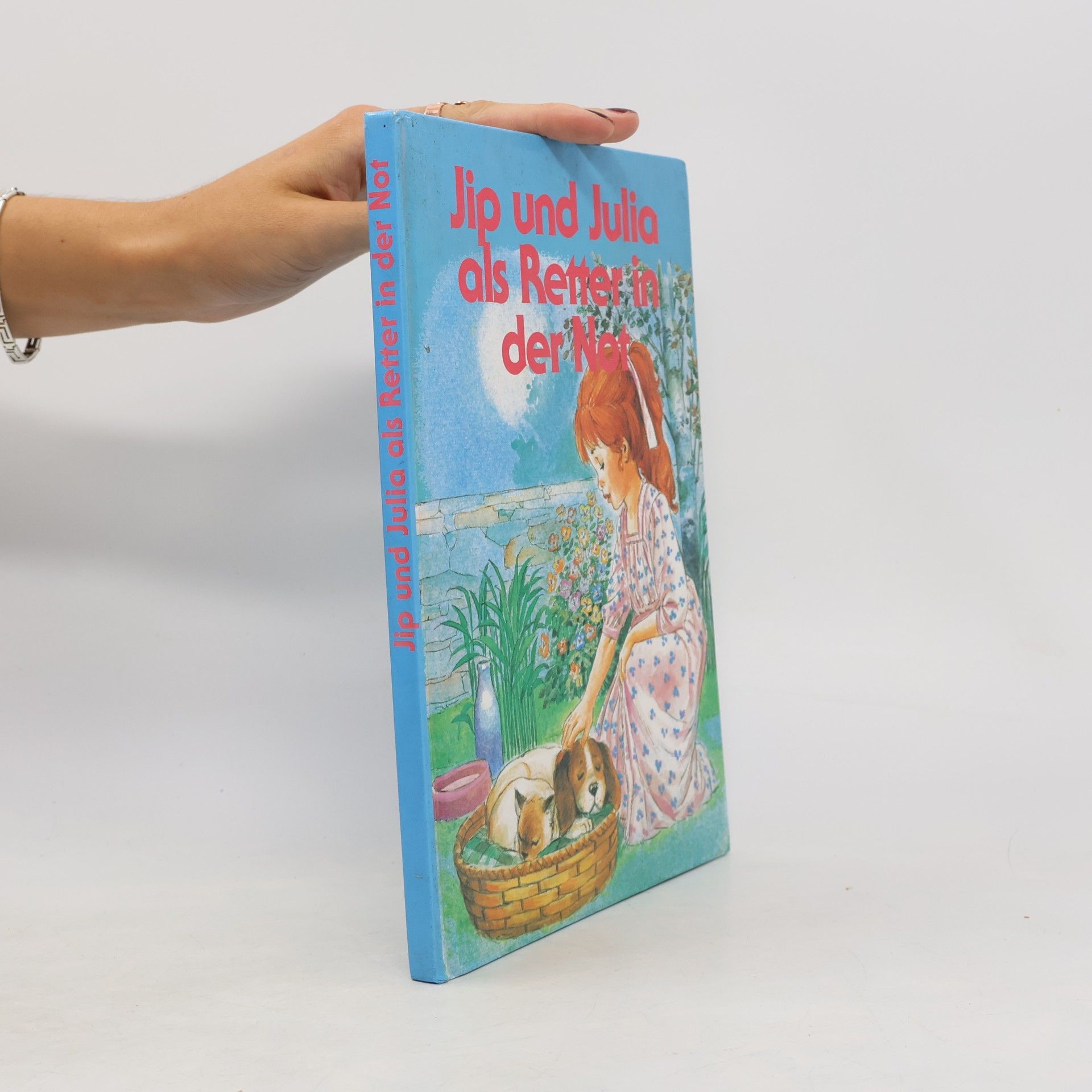 Autores varios Jip und Julia als Retter in der Not