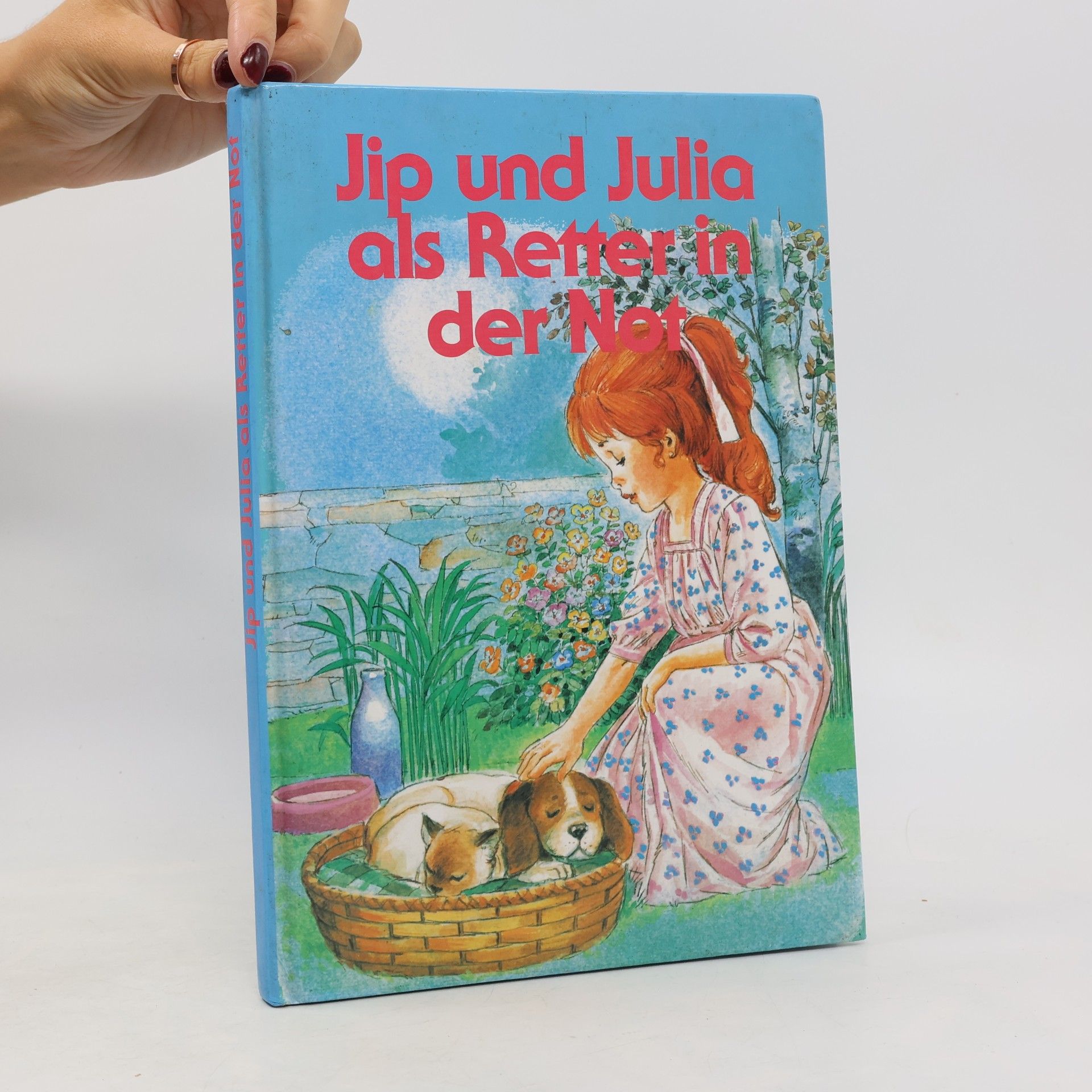 Autores varios Jip und Julia als Retter in der Not