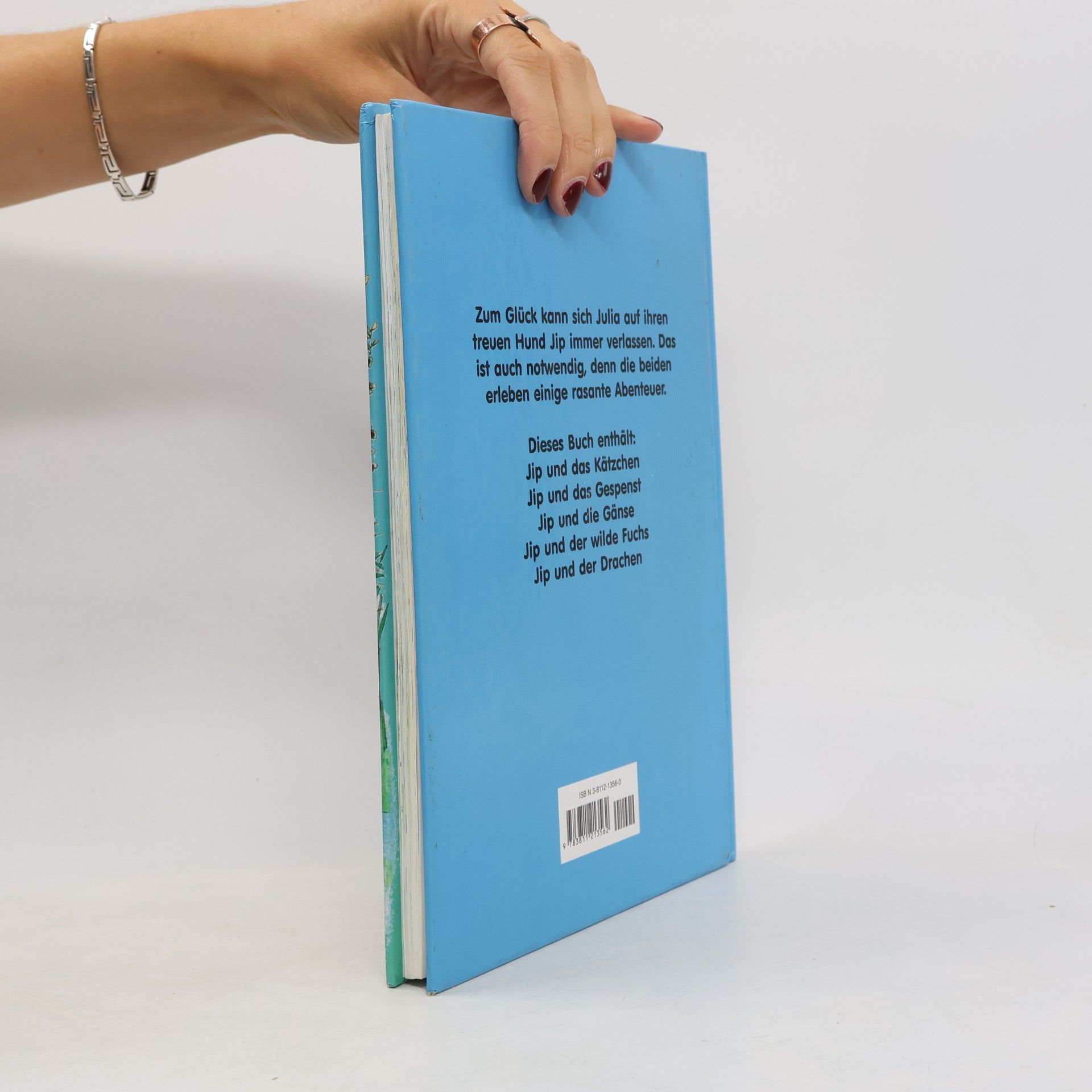 Autores varios Jip und Julia als Retter in der Not